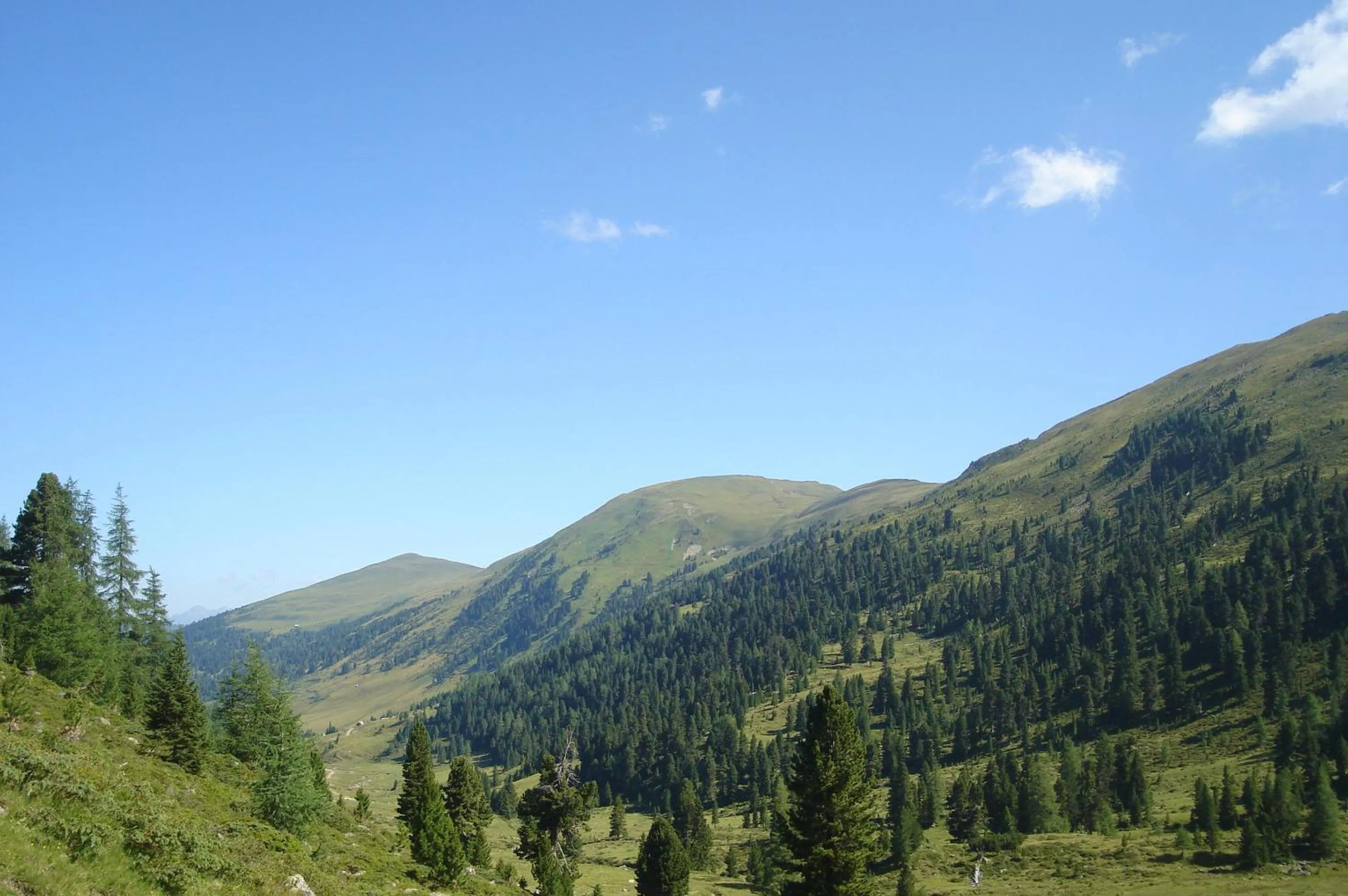 Natural landscape in Hotel Pension Schwaiger