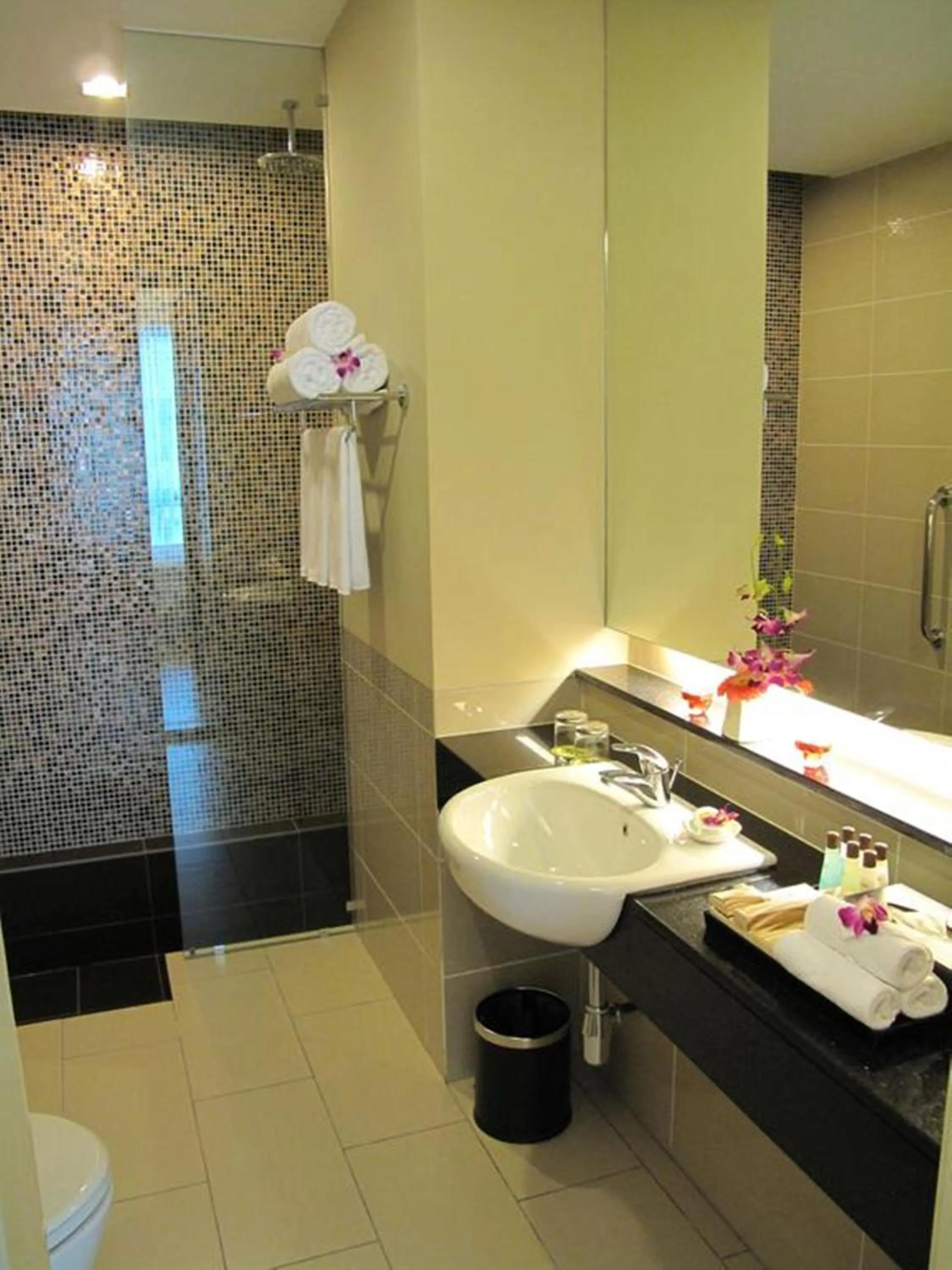 Bathroom in Platinum Suites at Swiss Garden