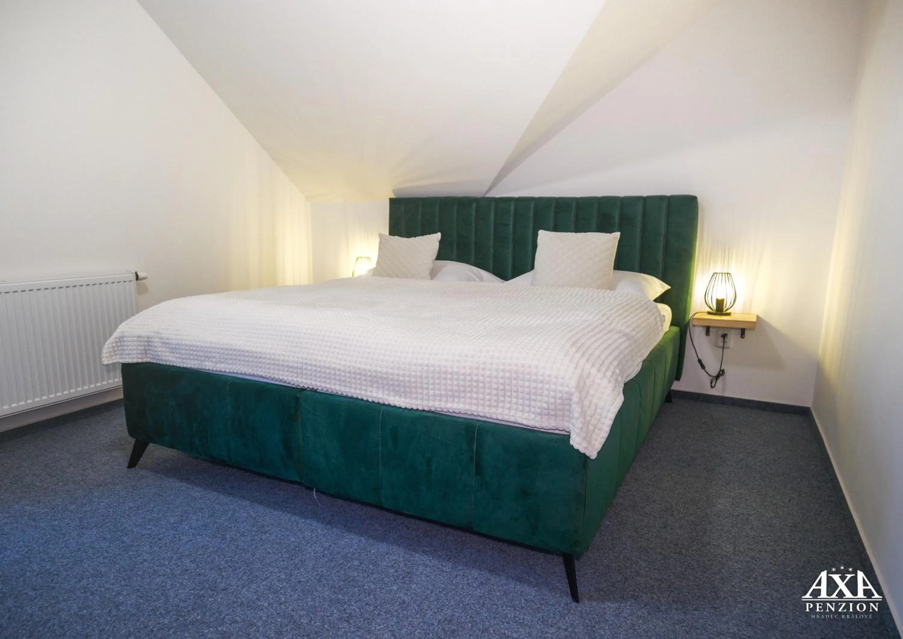 Double Room in Penzion Axa