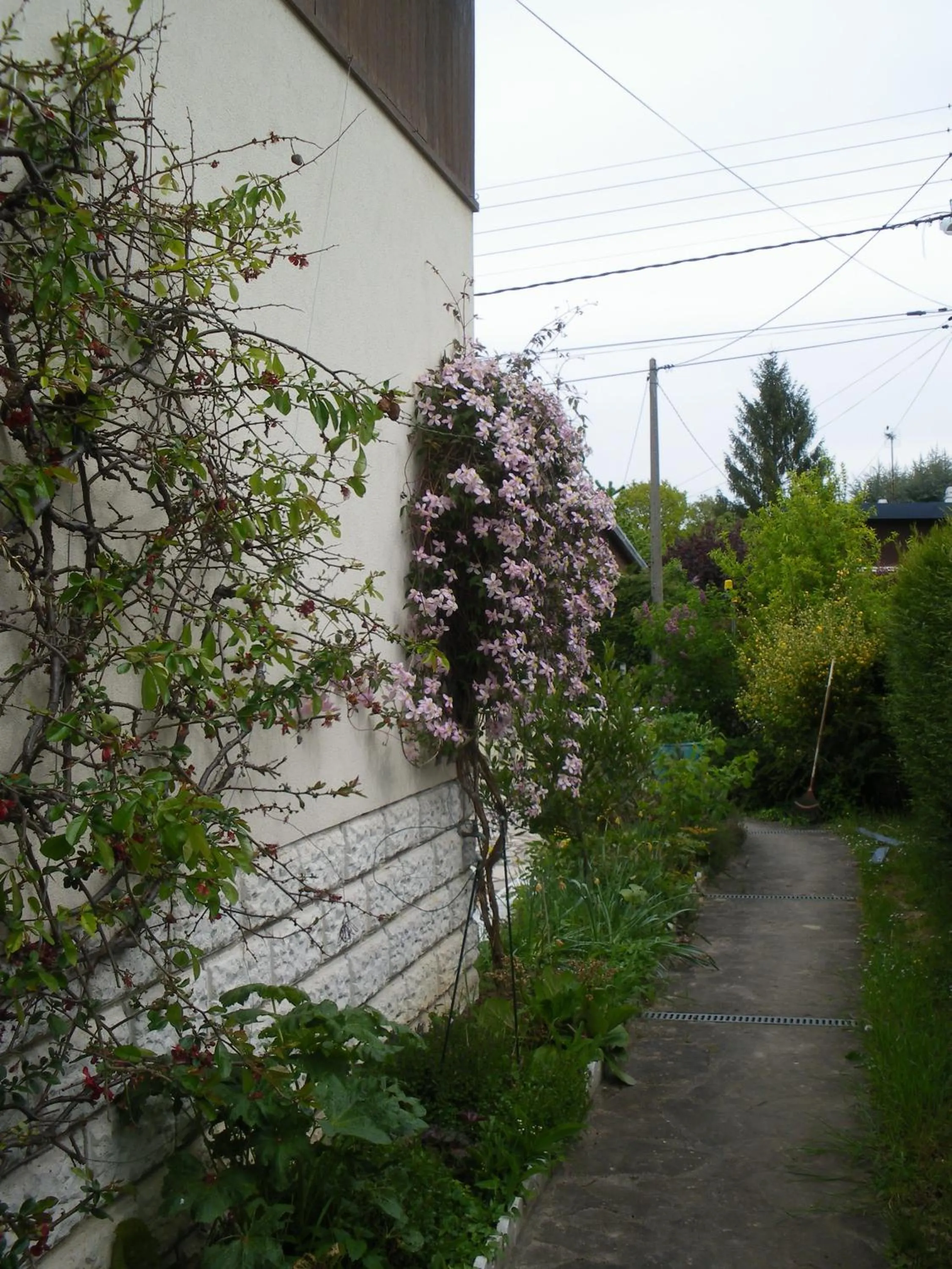 Garden view in Chambre d'Hôtes - DOUCE NUI-THE
