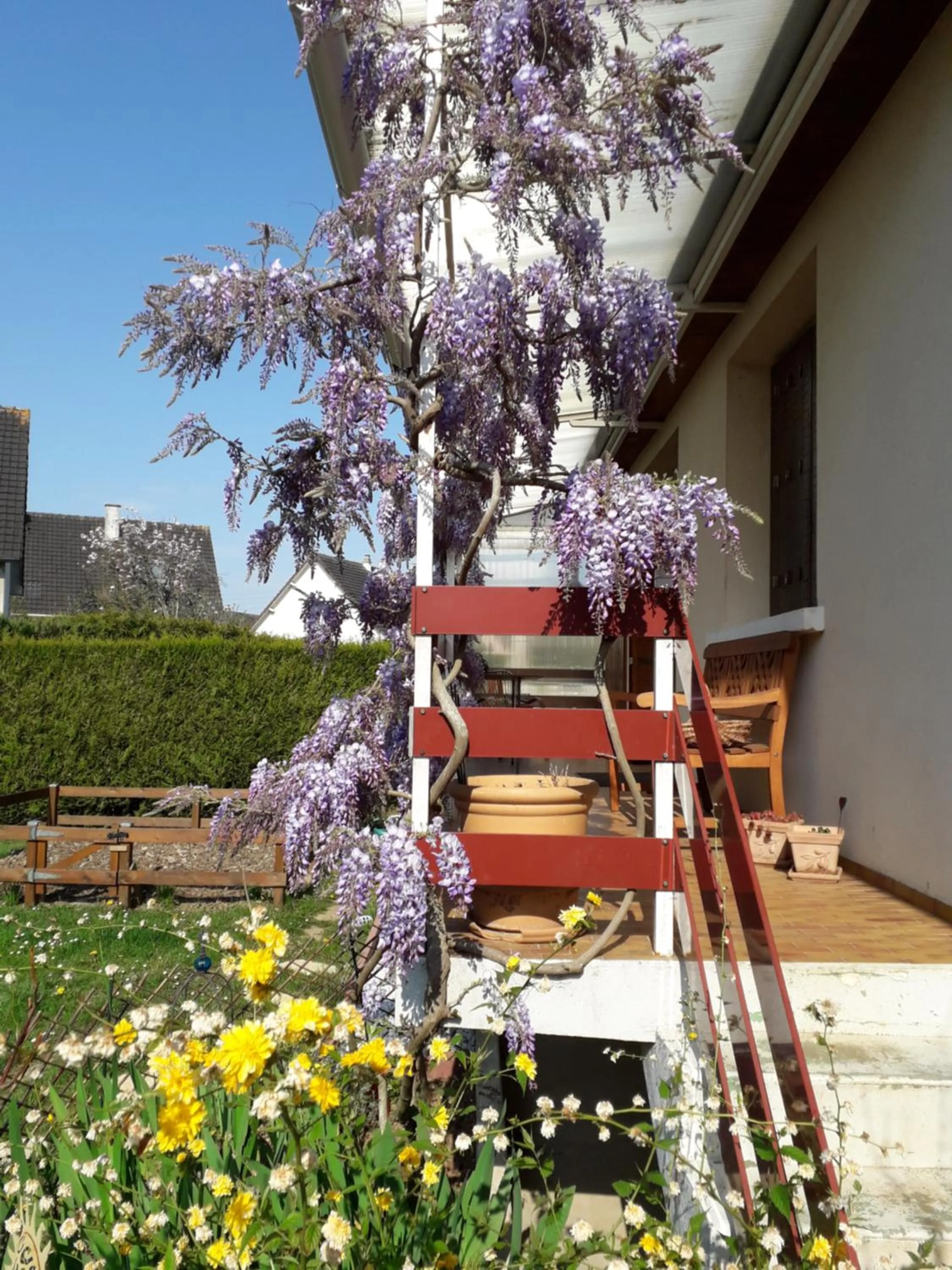 Chambre d'Hôtes - DOUCE NUI-THE