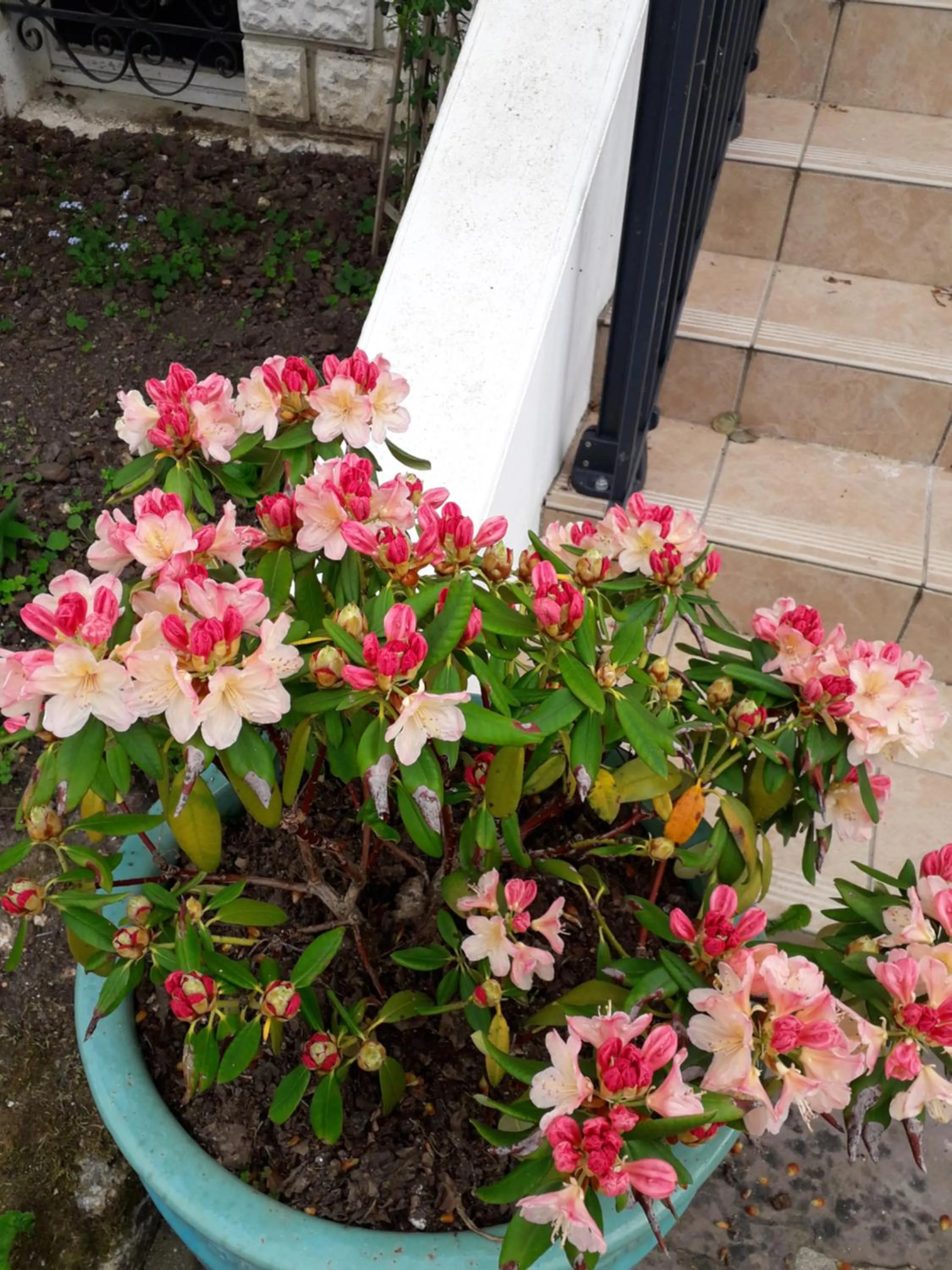 Chambre d'Hôtes - DOUCE NUI-THE