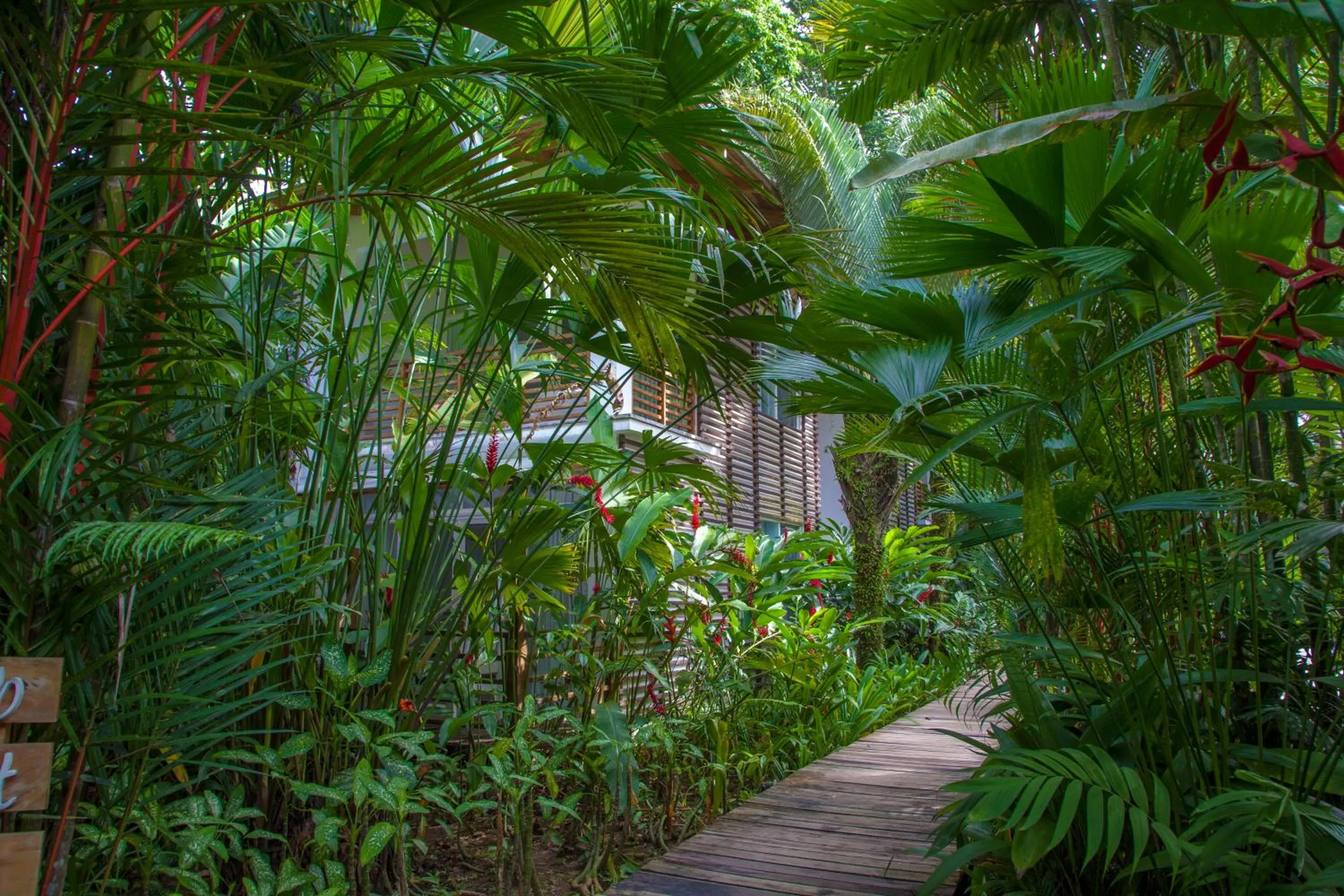 Natural landscape in Le Cameleon Hotel