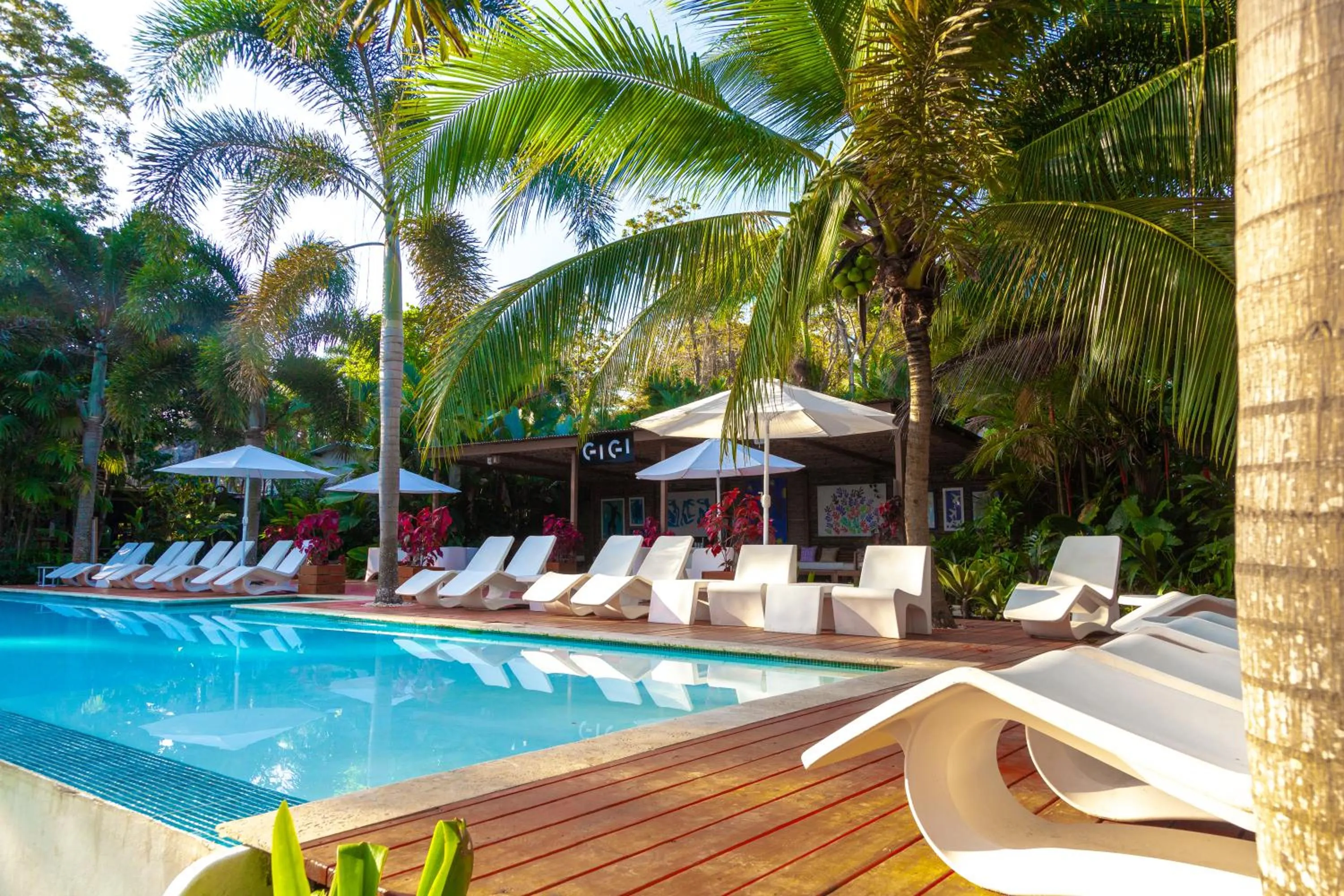 Day in Le Cameleon Hotel