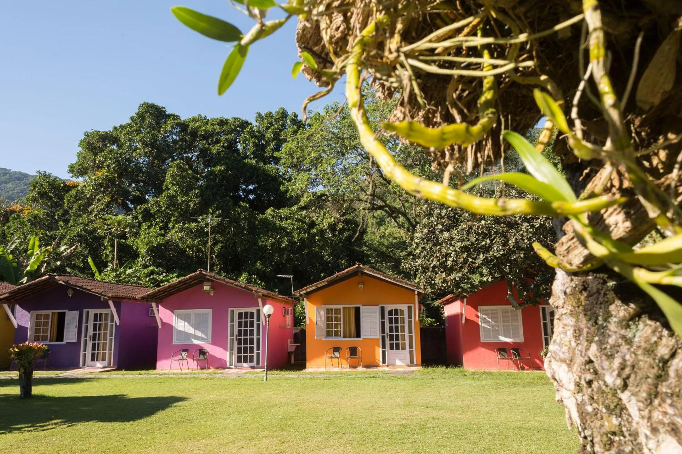 Garden view in Pousada Recanto dos Lima