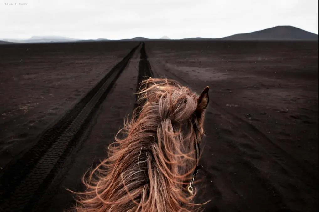 Horse-riding in Hotel Akureyri Dynheimar