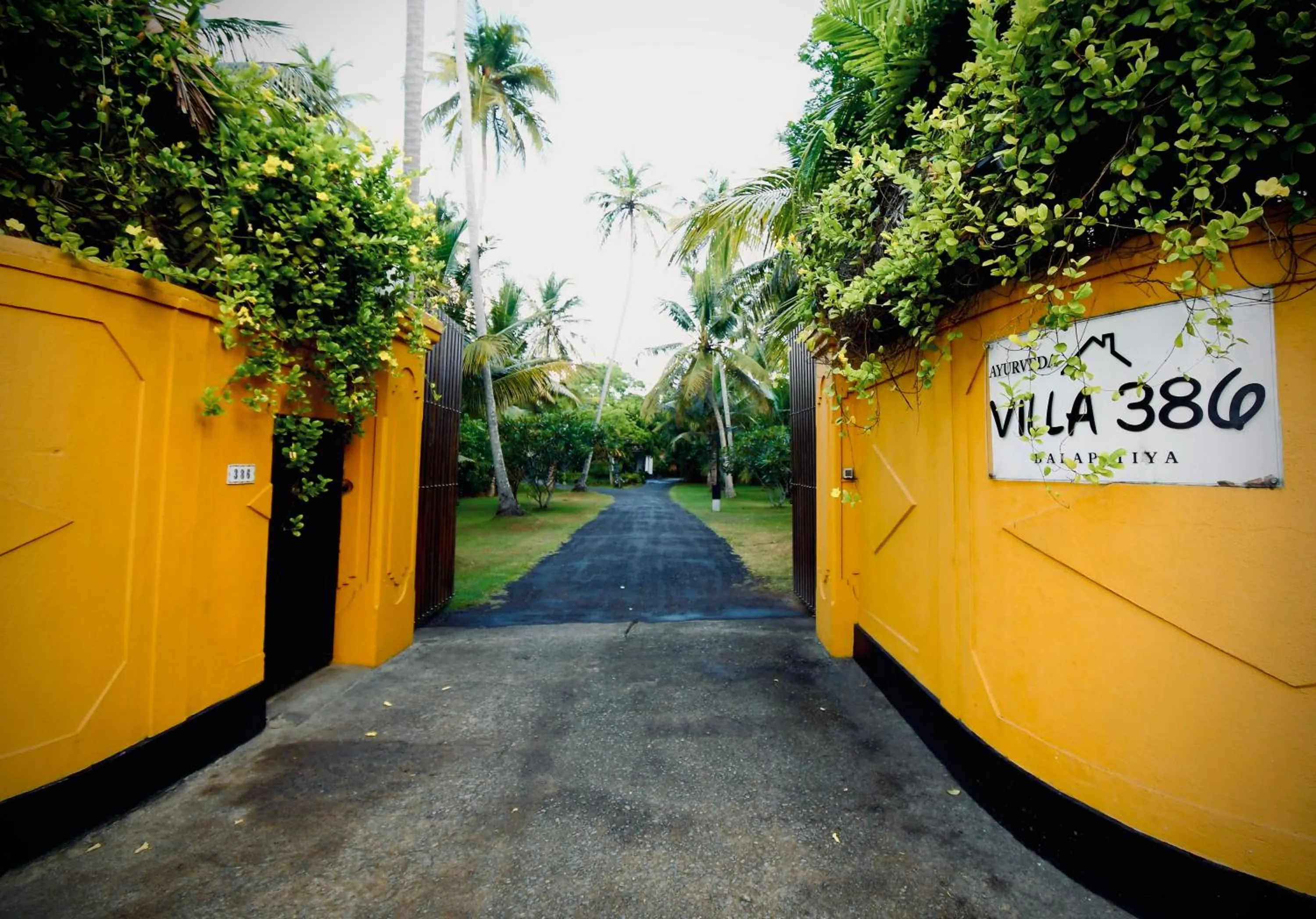 Street view in Ayurveda Villa 386
