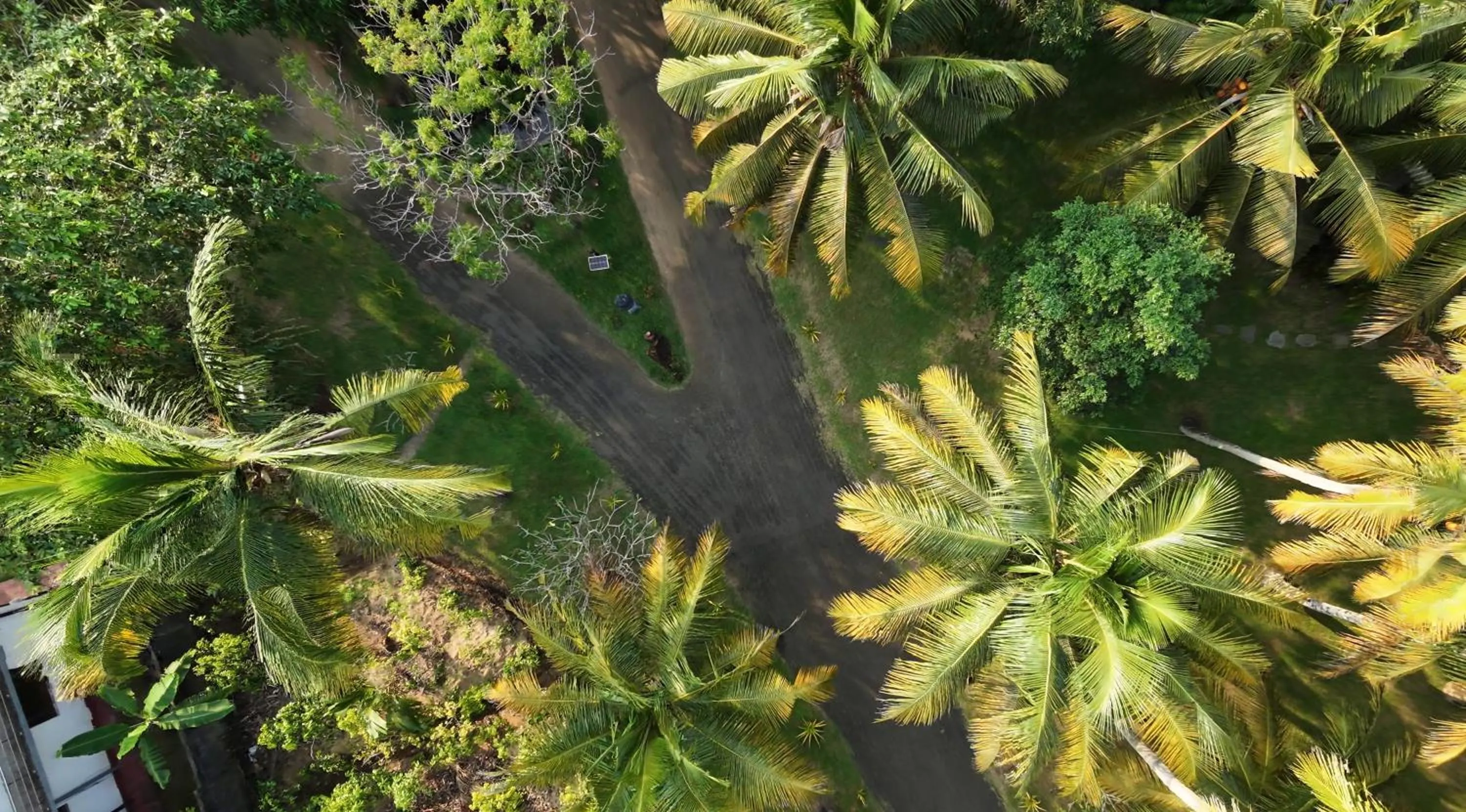 Natural landscape in Ayurveda Villa 386