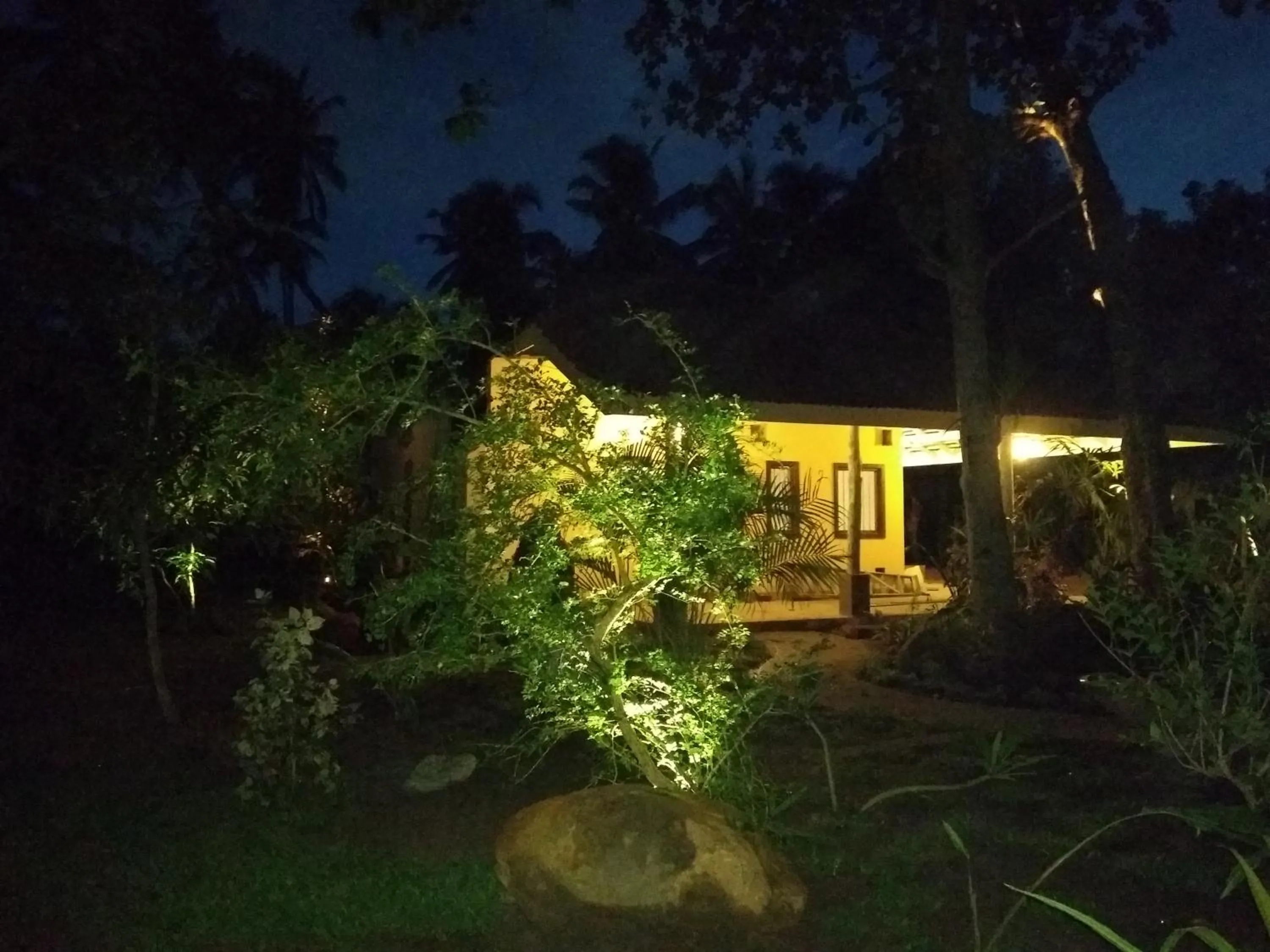 Night in Ayurveda Villa 386