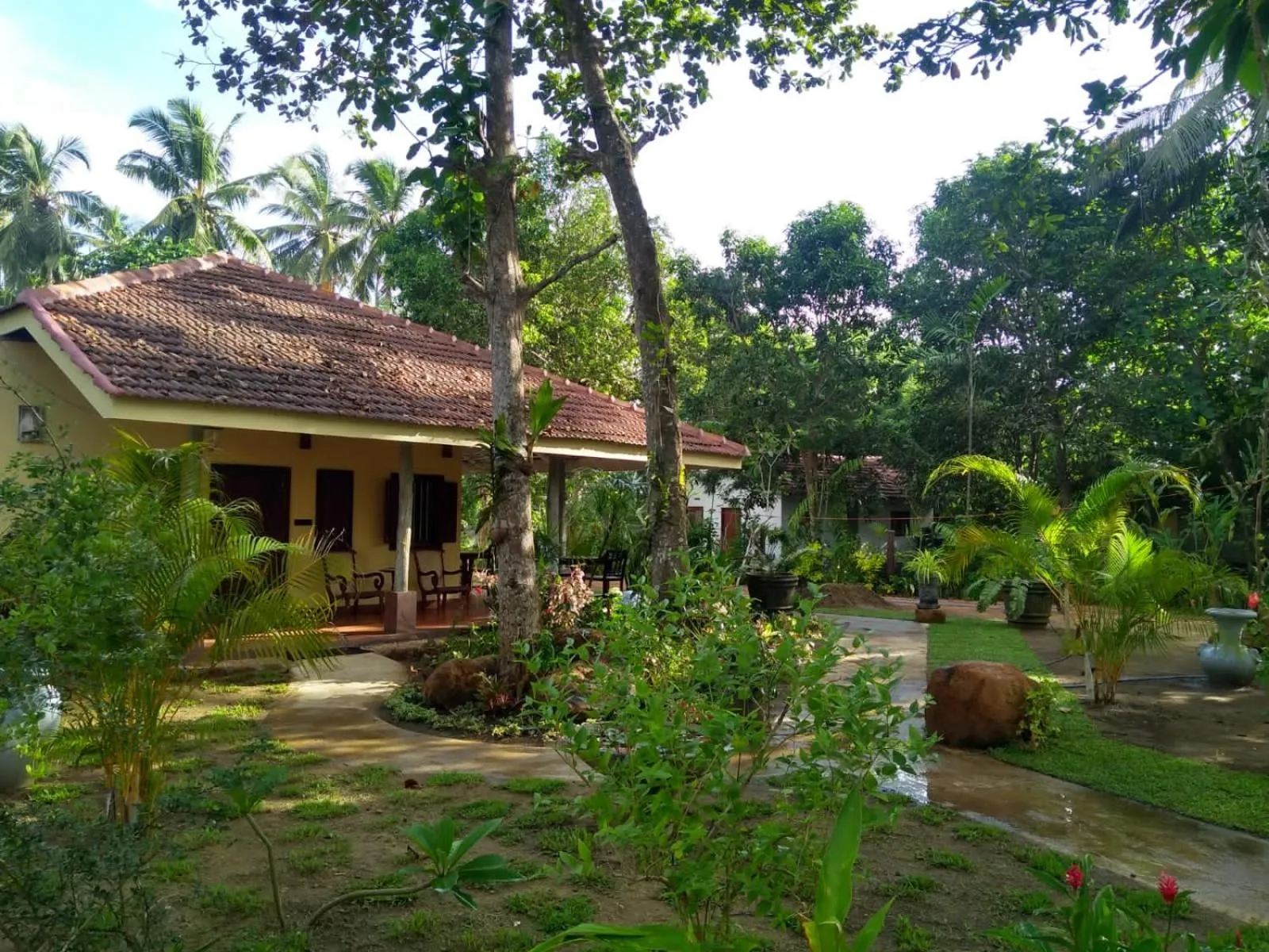 Garden in Ayurveda Villa 386
