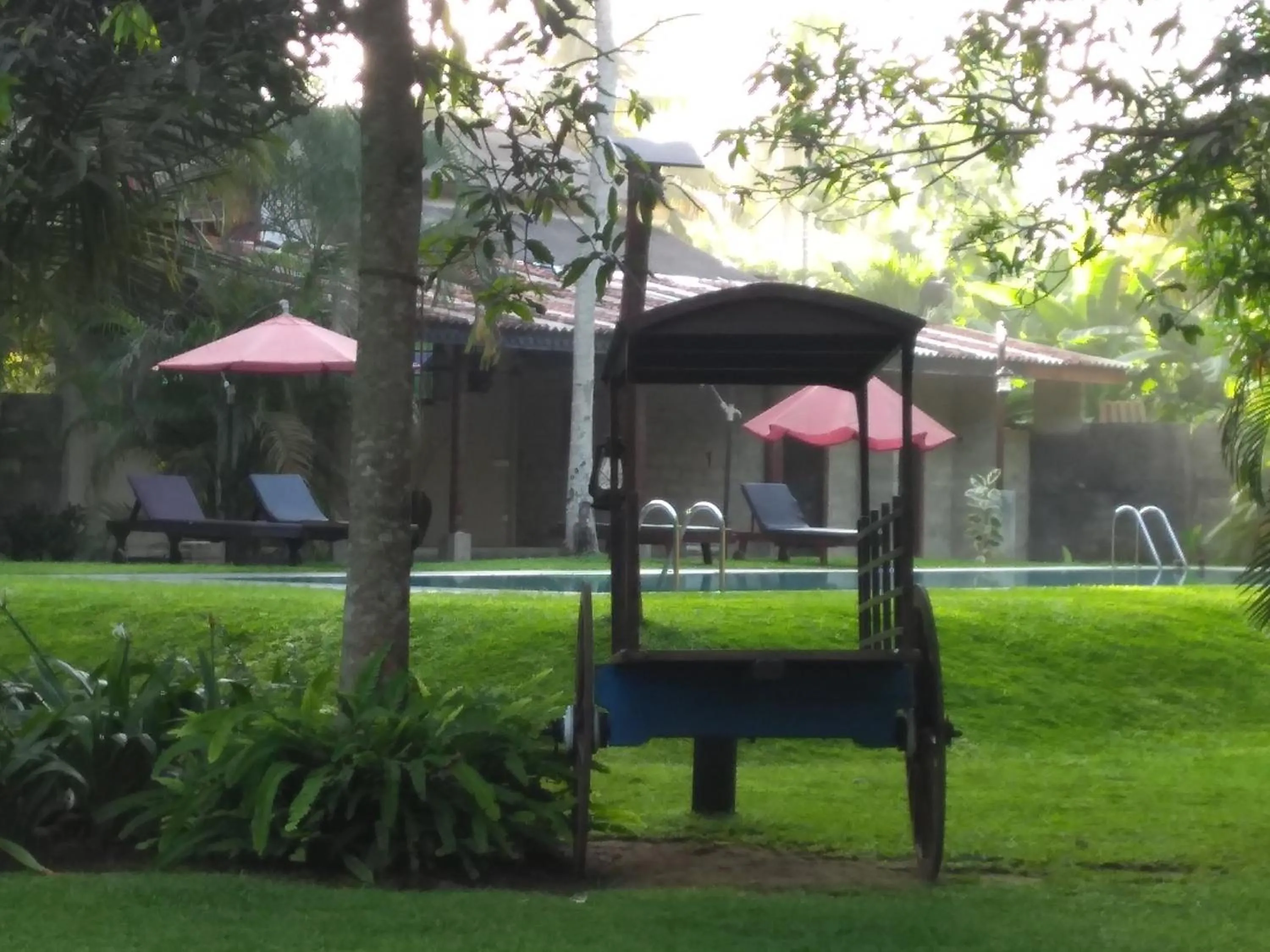 Garden view in Ayurveda Villa 386
