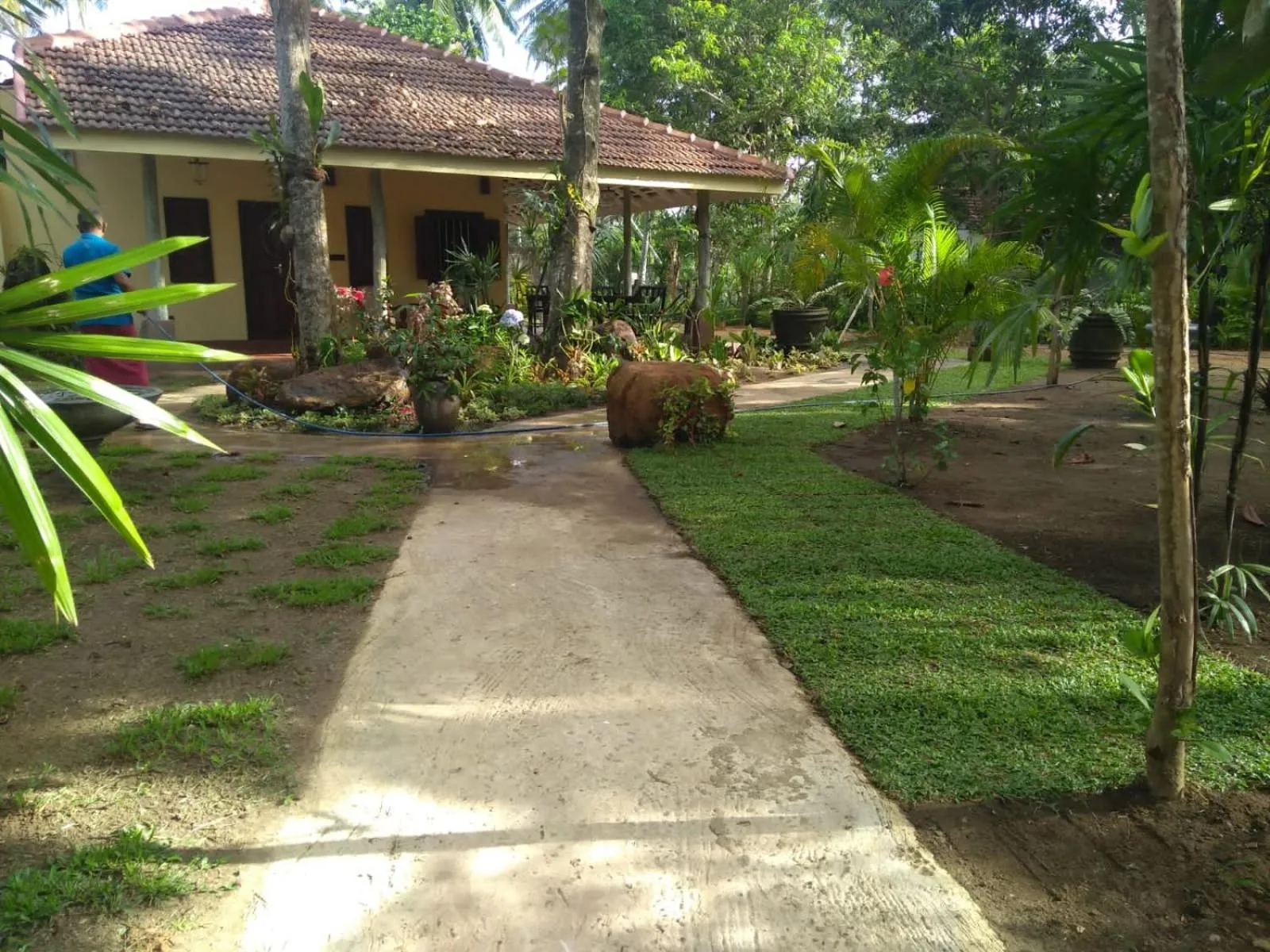 Garden view in Ayurveda Villa 386