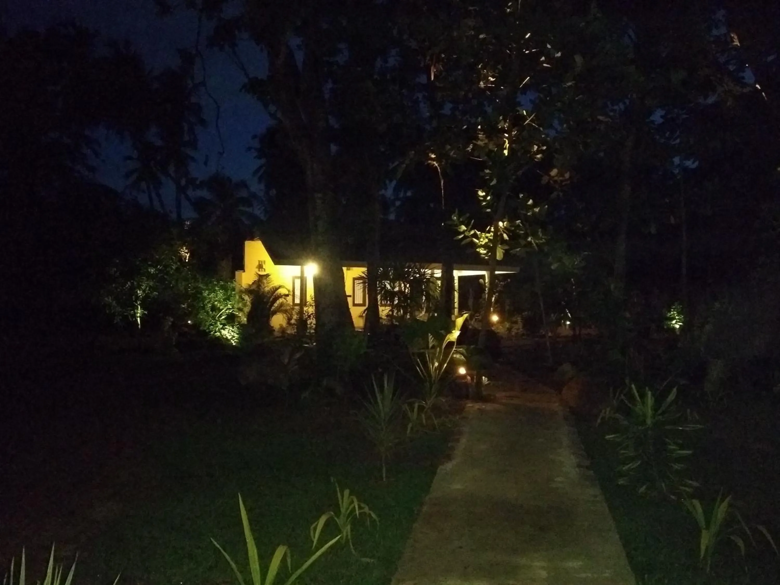 Night in Ayurveda Villa 386