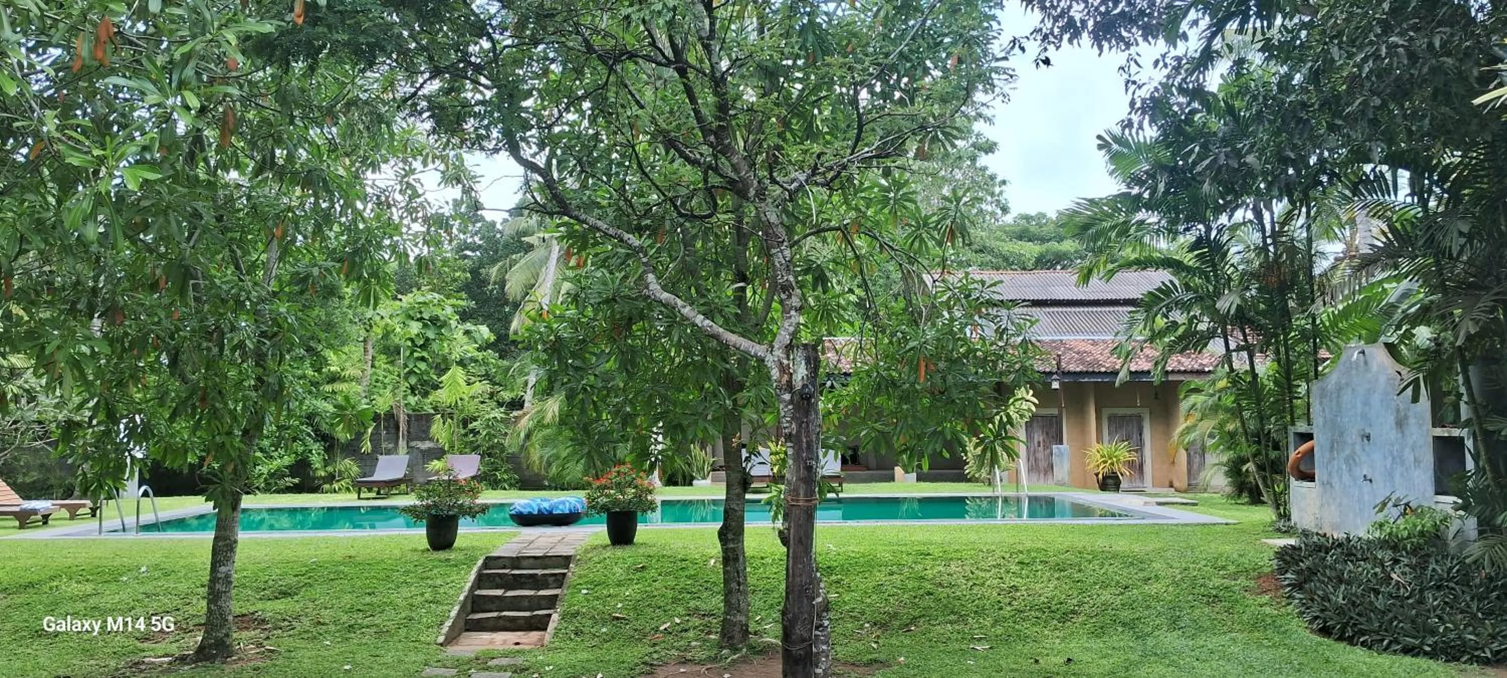 Pool view in Ayurveda Villa 386