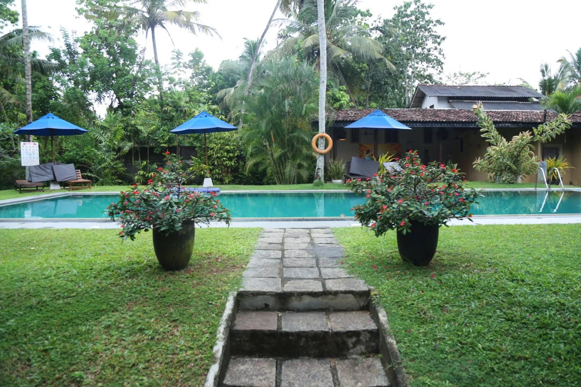 Pool view in Ayurveda Villa 386