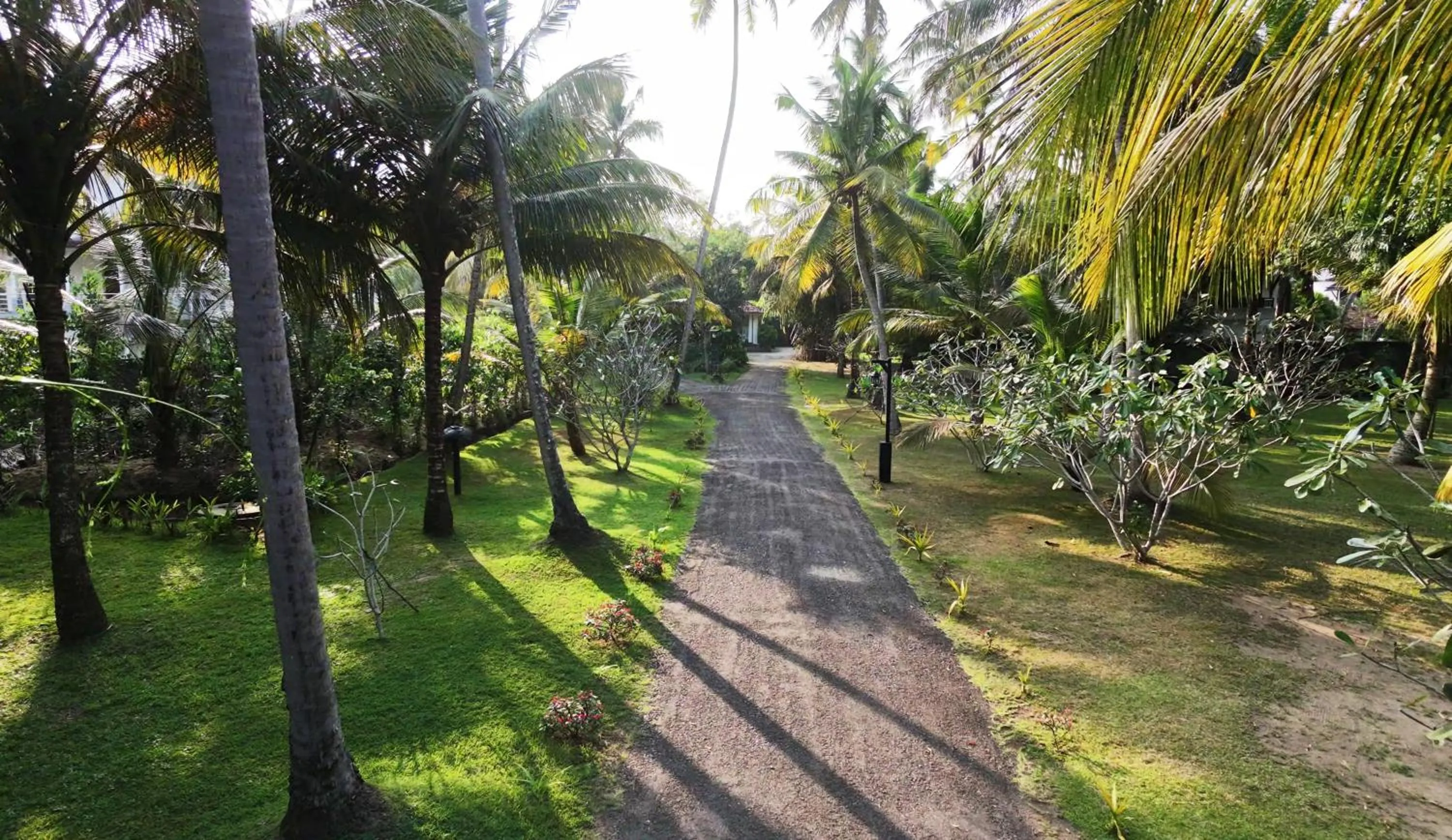 Garden in Ayurveda Villa 386