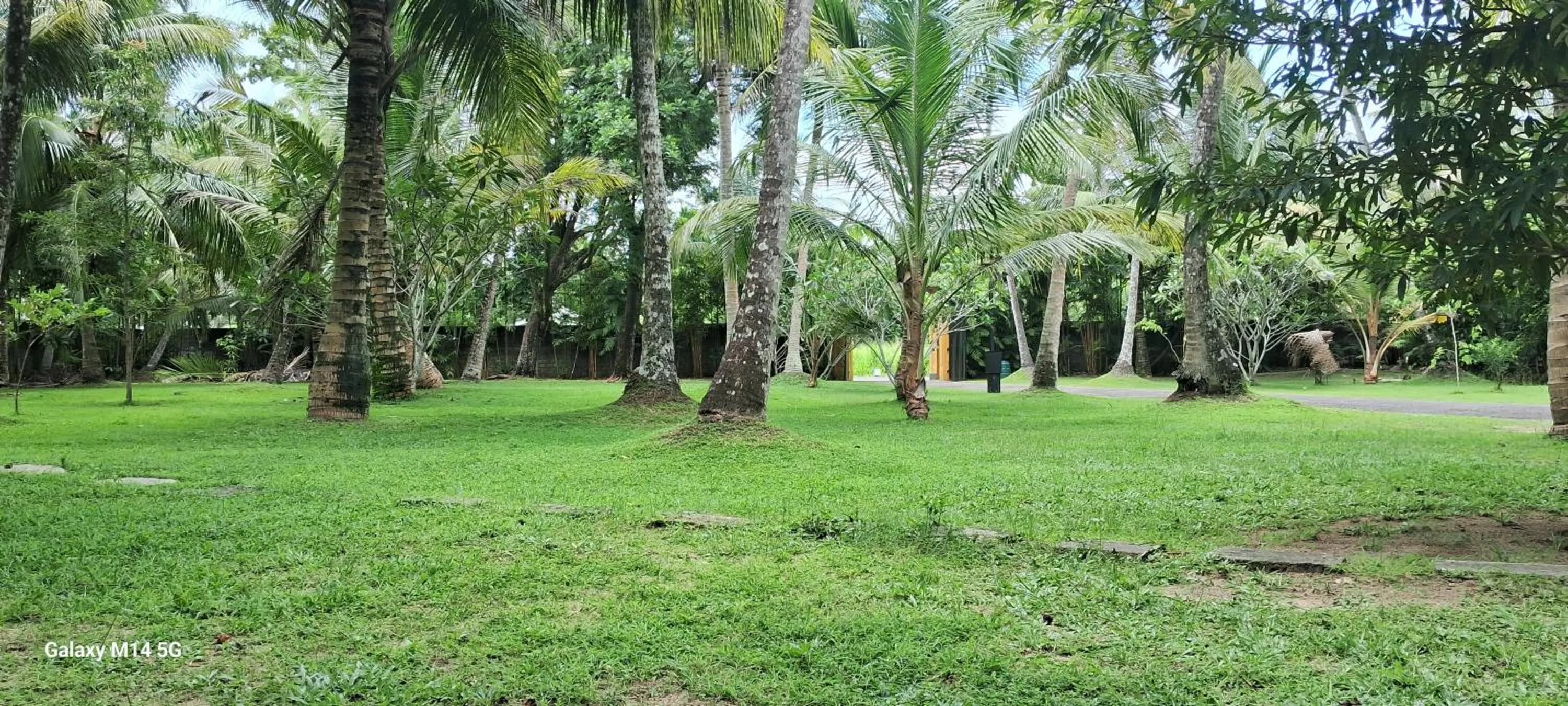 Garden in Ayurveda Villa 386