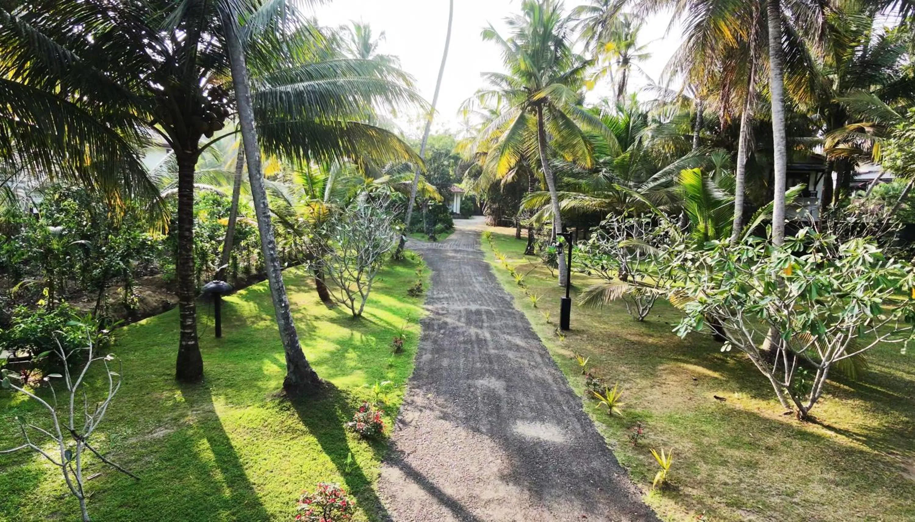 Natural landscape in Ayurveda Villa 386