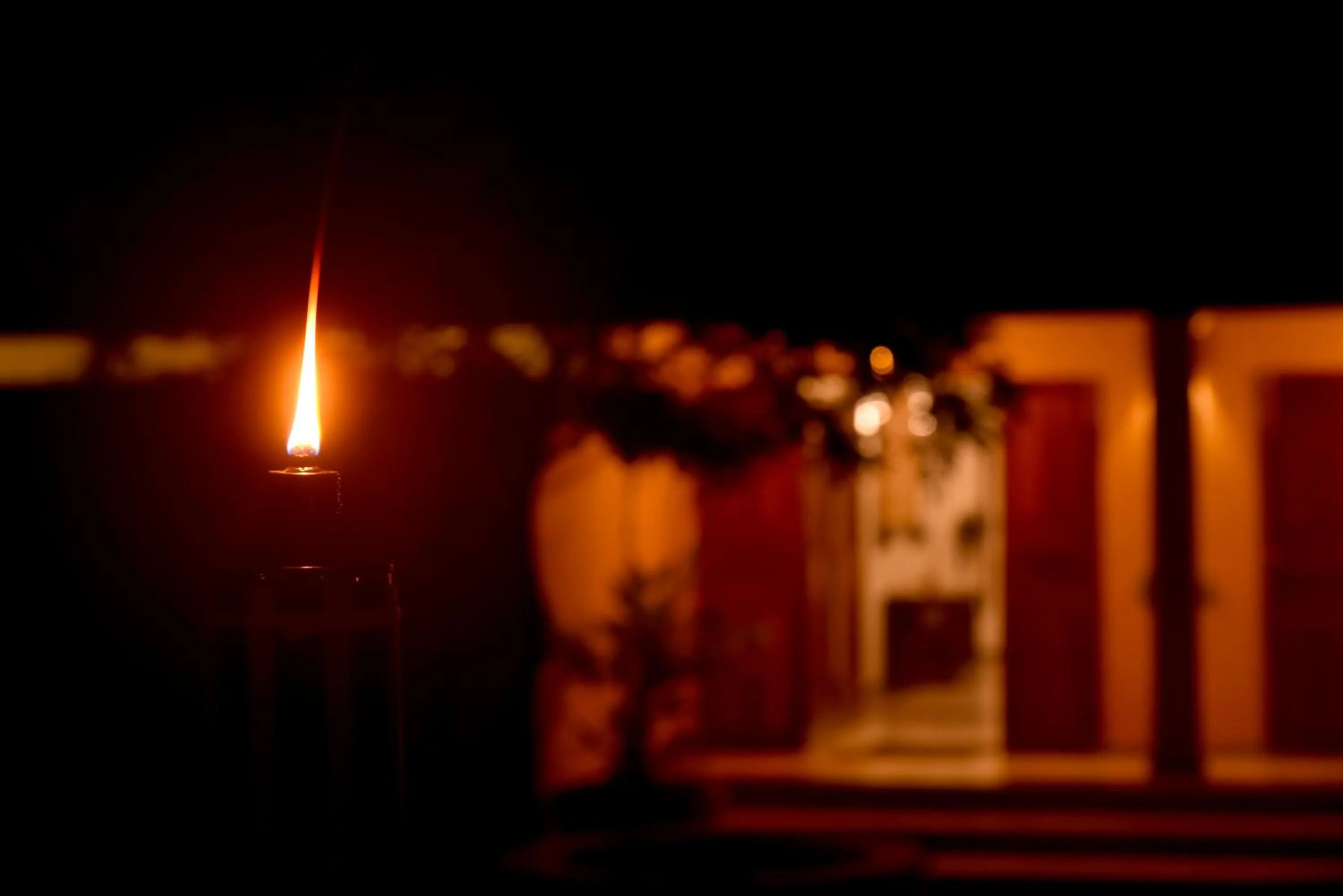 Night in Ayurveda Villa 386