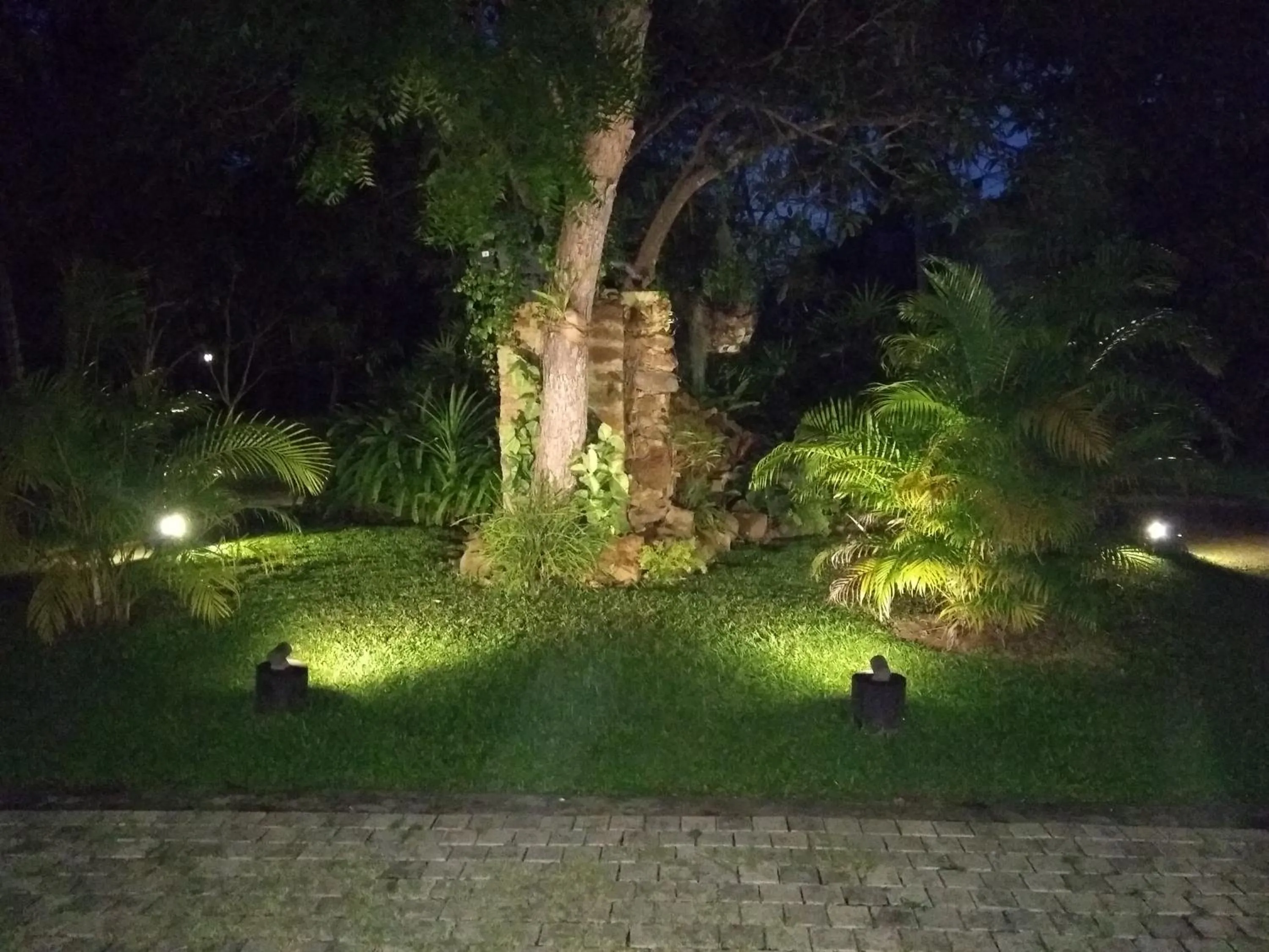 Natural landscape in Ayurveda Villa 386