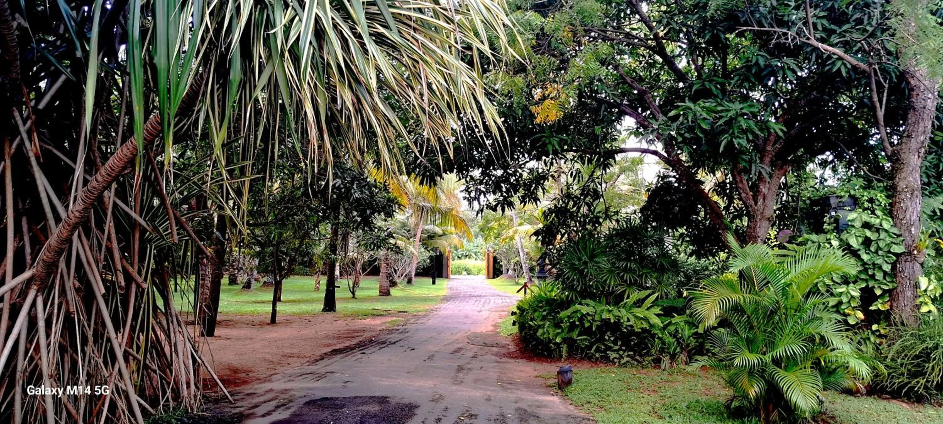 Garden in Ayurveda Villa 386