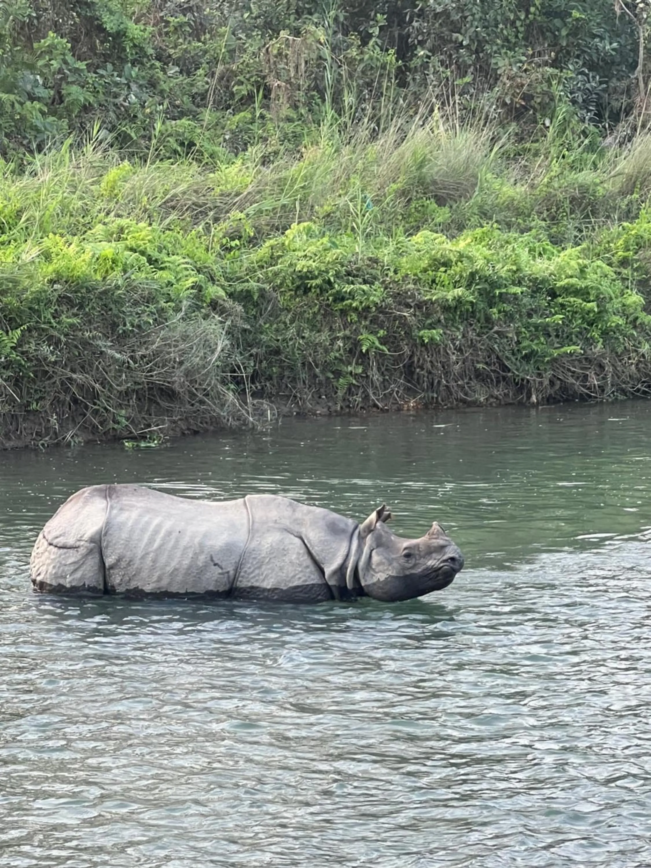 Natural landscape in Hotel Chitwan Park Village