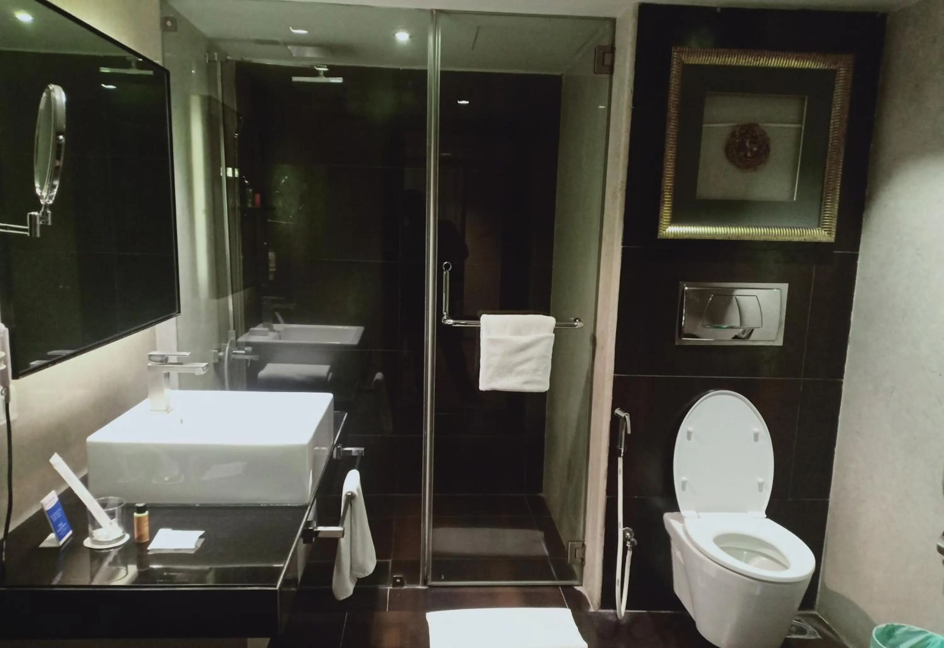 Bathroom in Davanam Sarovar Portico Suites