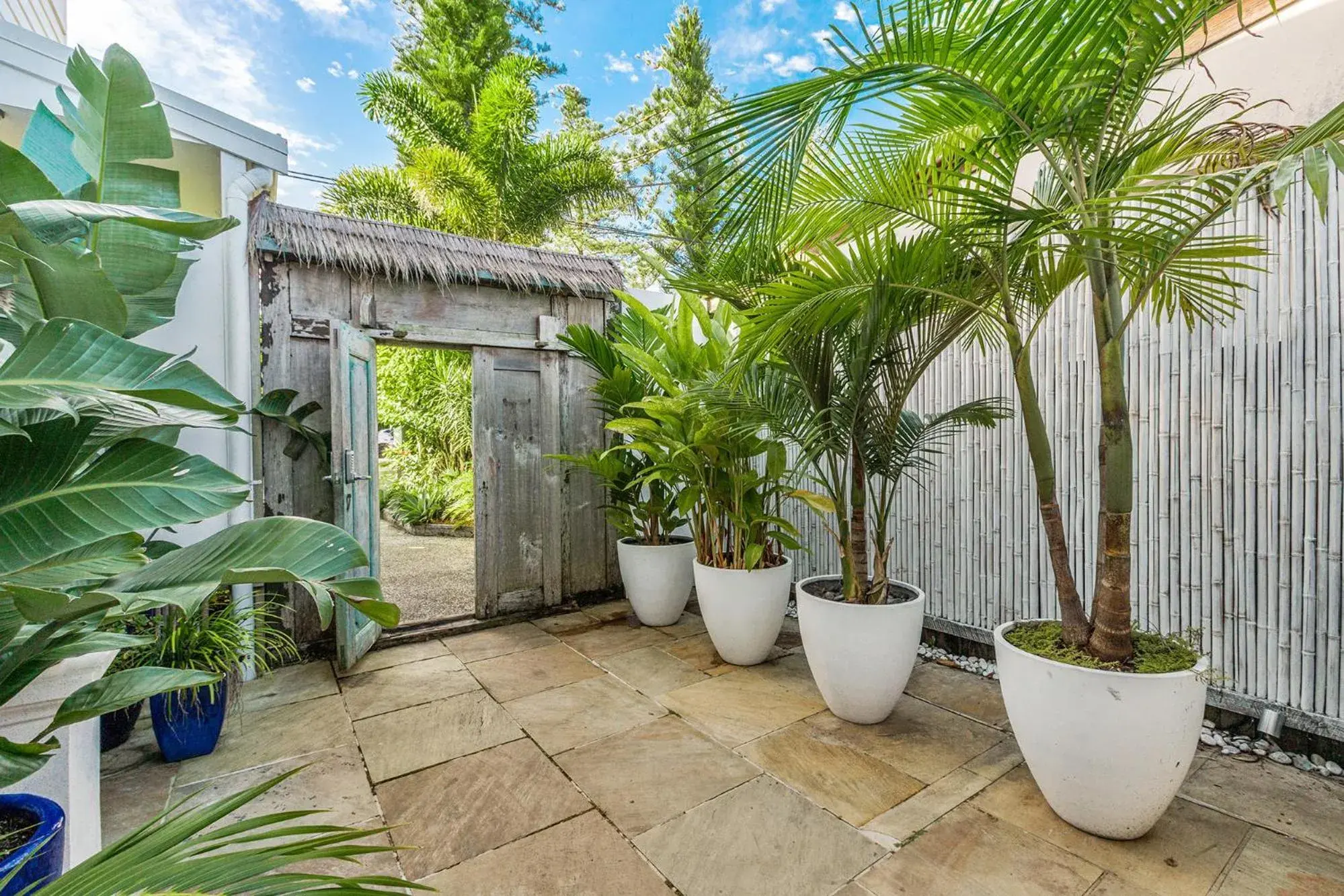 Garden view in Azur Byron Bay Garden view in Azur Byron Bay