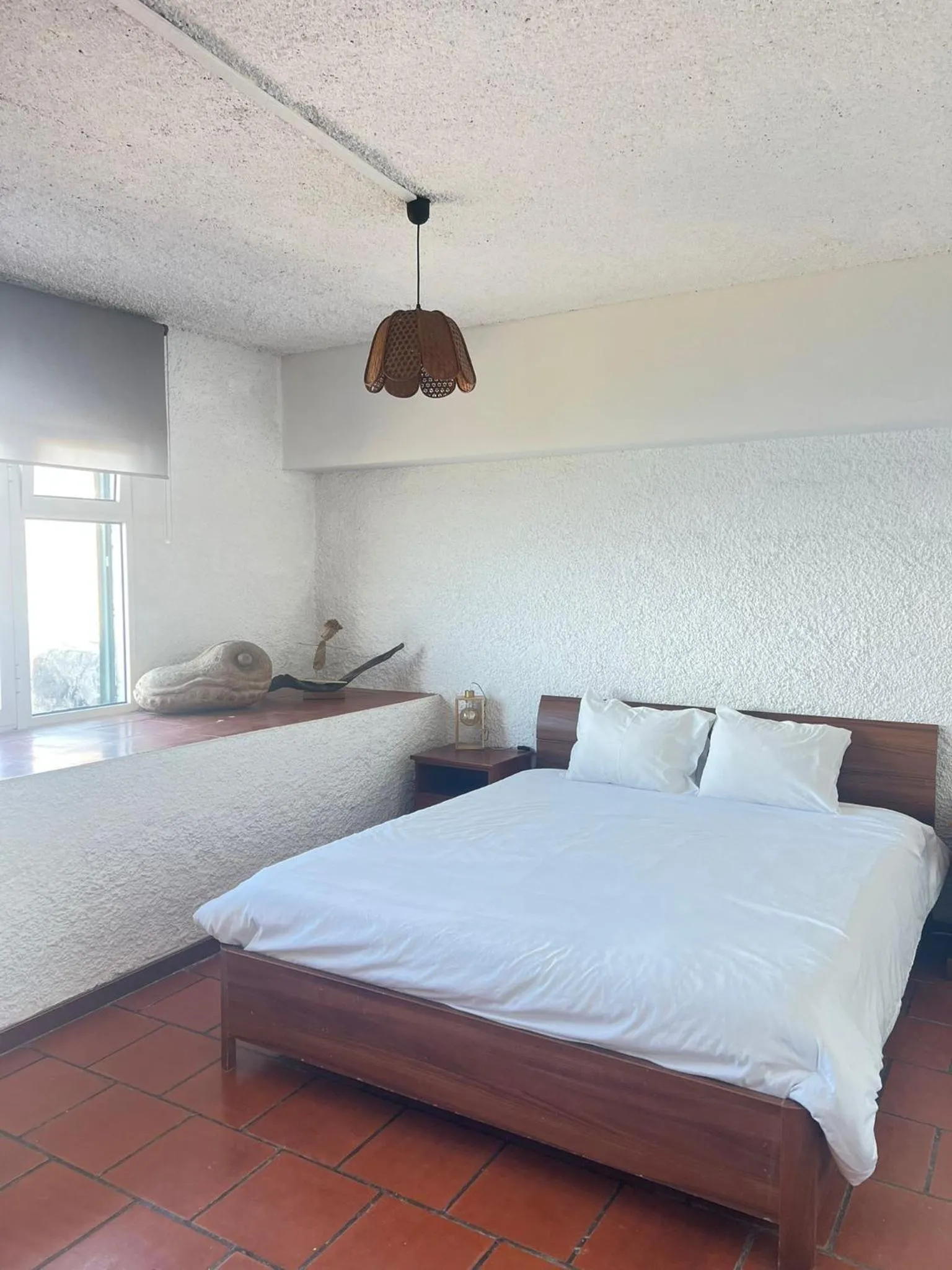 Cecília's House