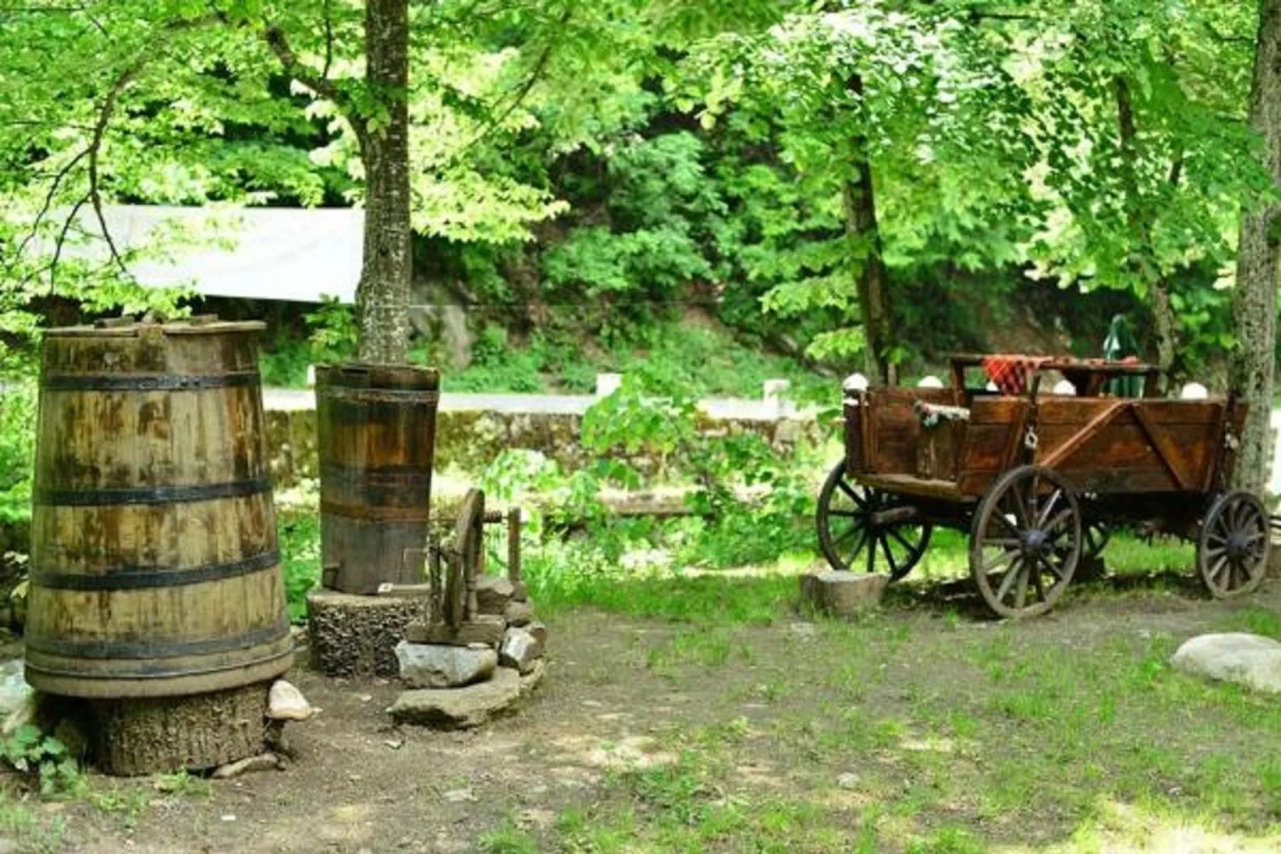 Garden in Hotel Valdis