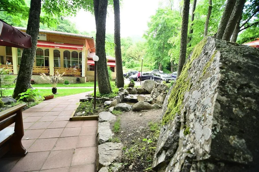 Restaurant/places to eat in Hotel Valdis