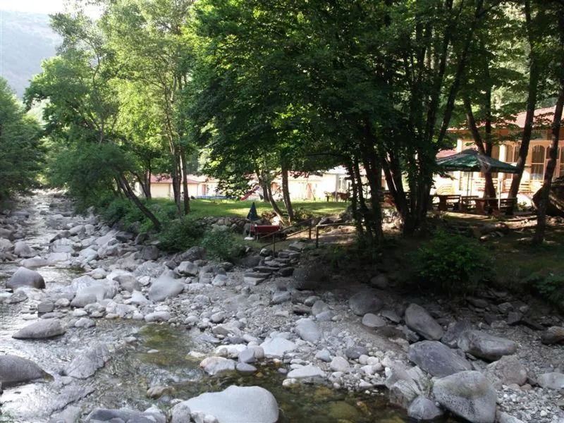 Natural landscape in Hotel Valdis