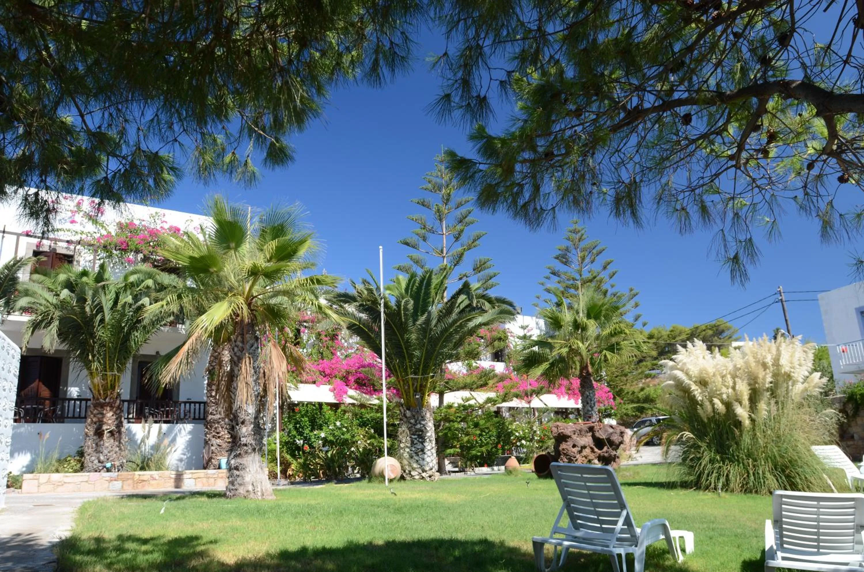 Garden in Asteri Hotel