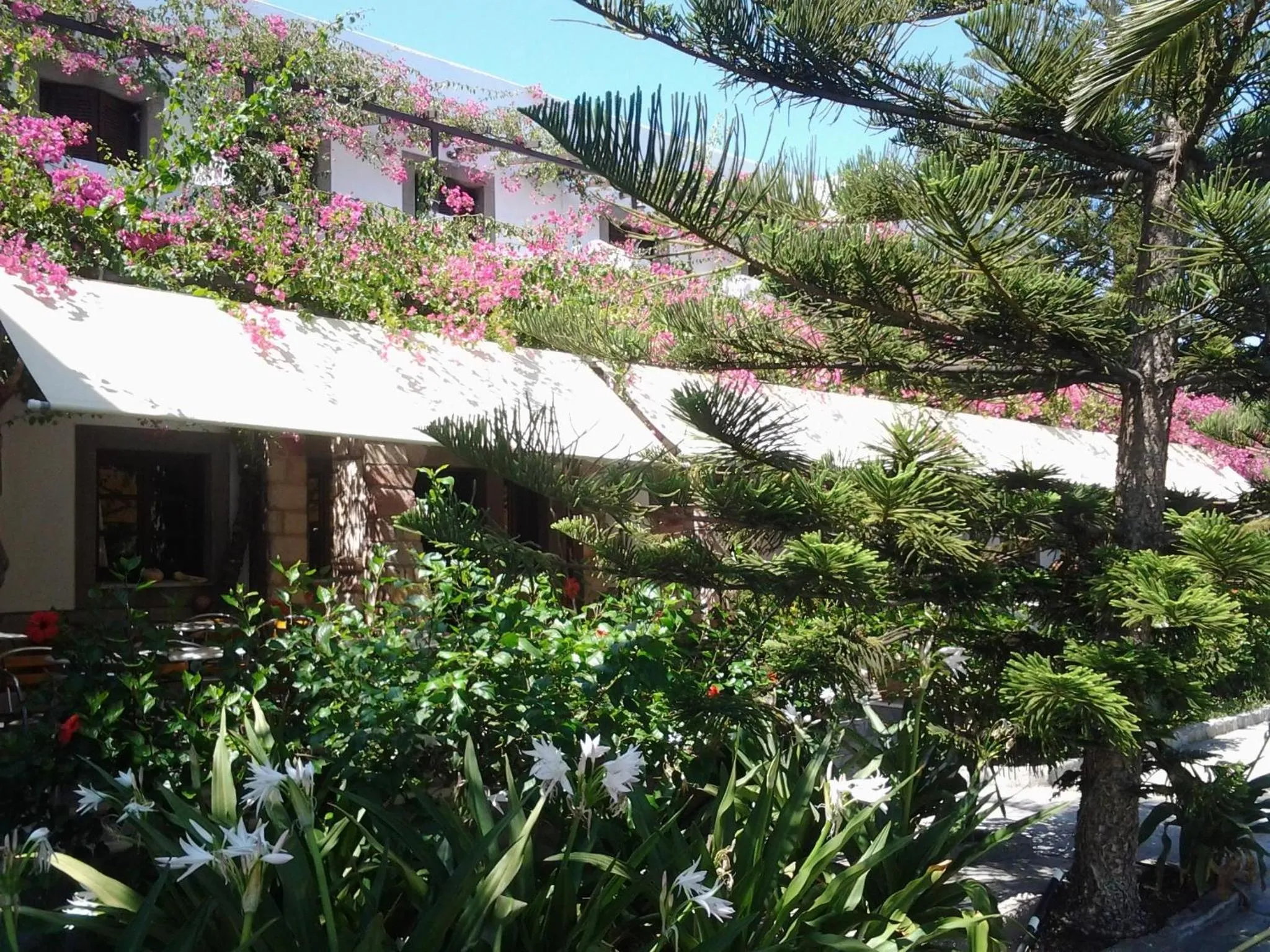 Facade/entrance in Asteri Hotel