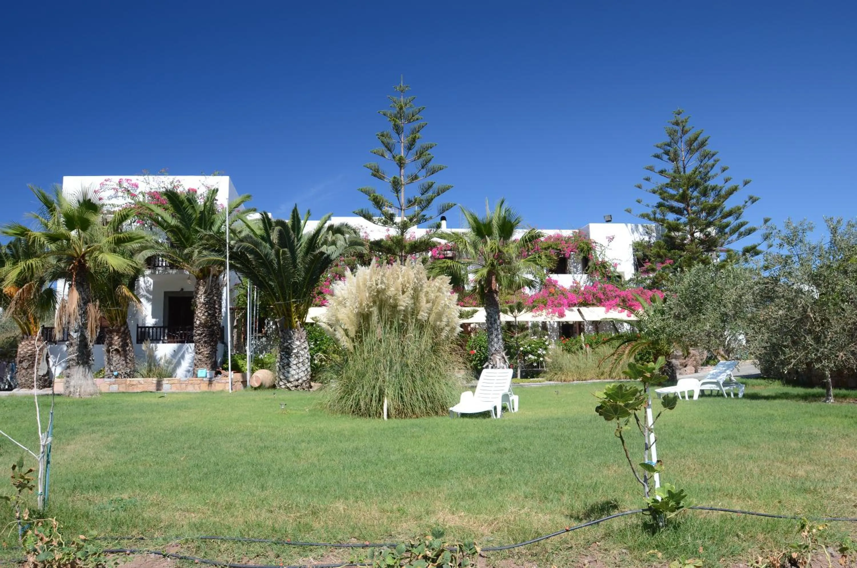 Garden in Asteri Hotel