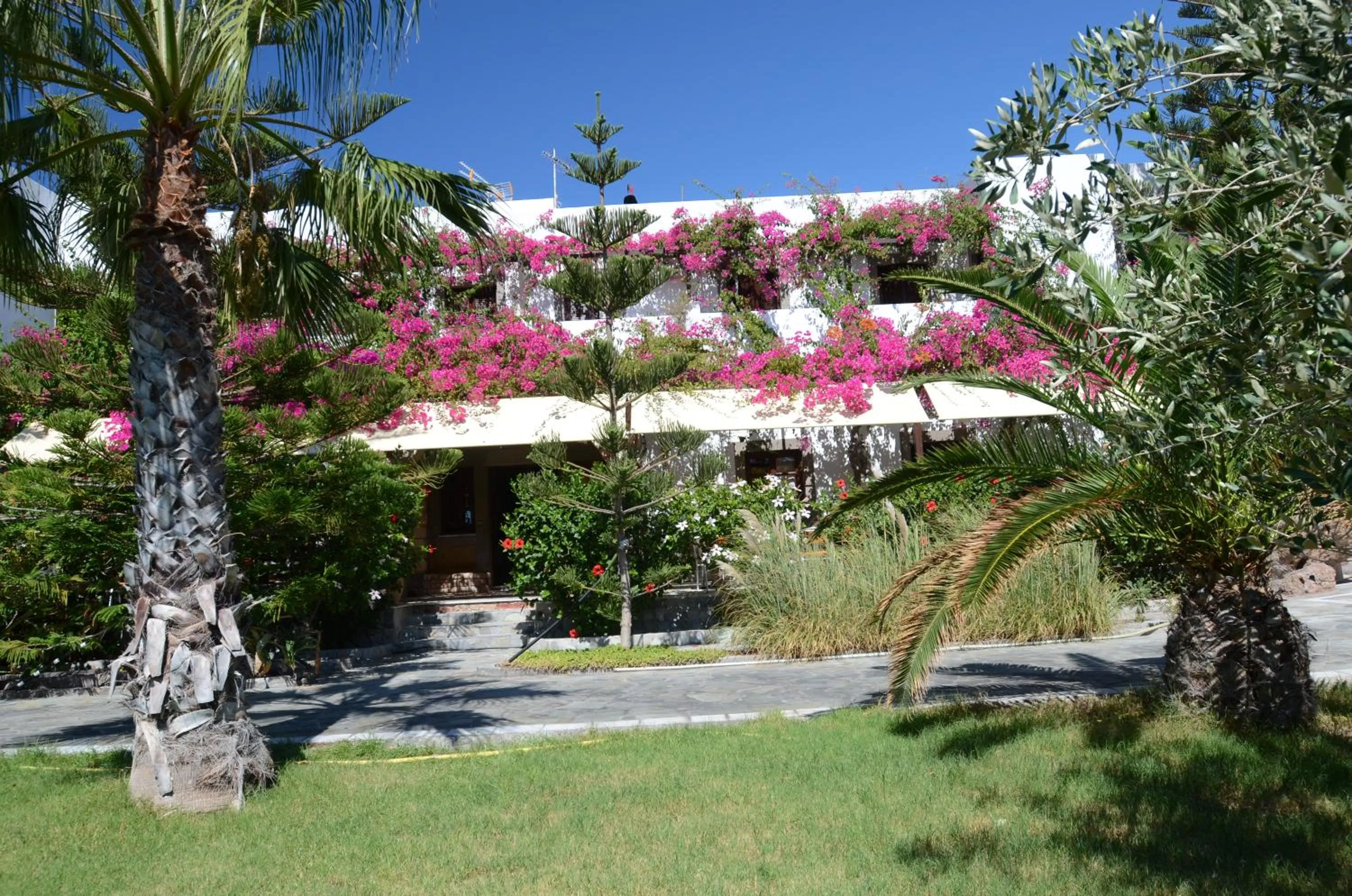 Garden in Asteri Hotel