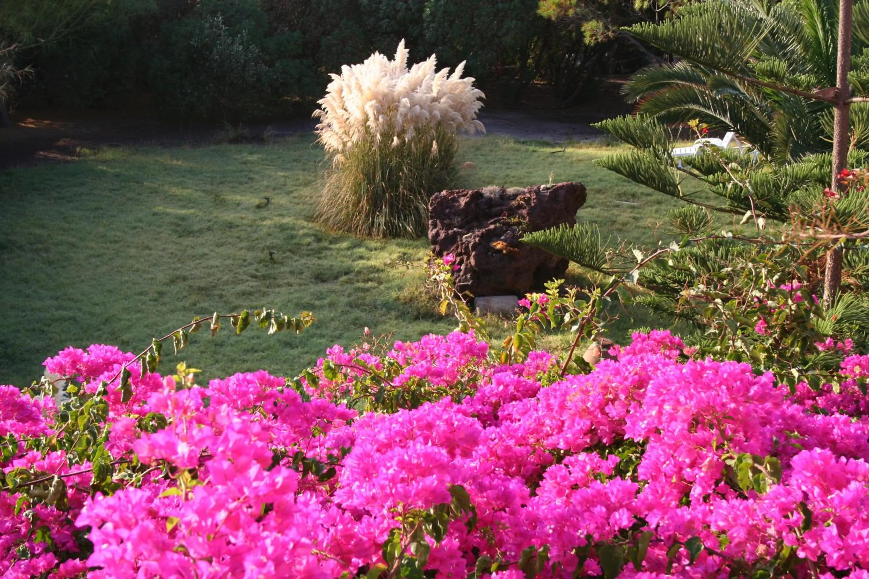 Decorative detail in Asteri Hotel
