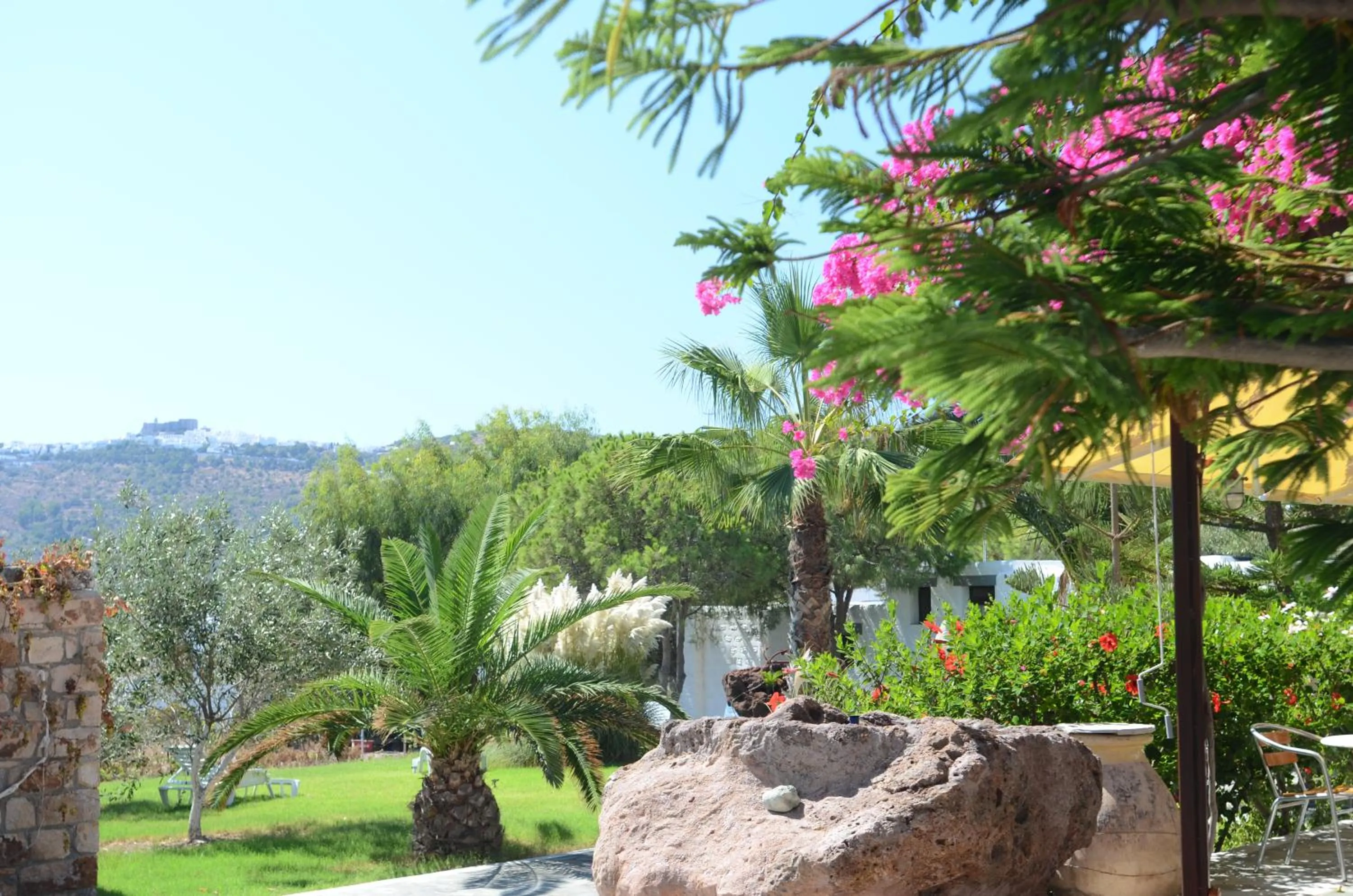 Garden in Asteri Hotel