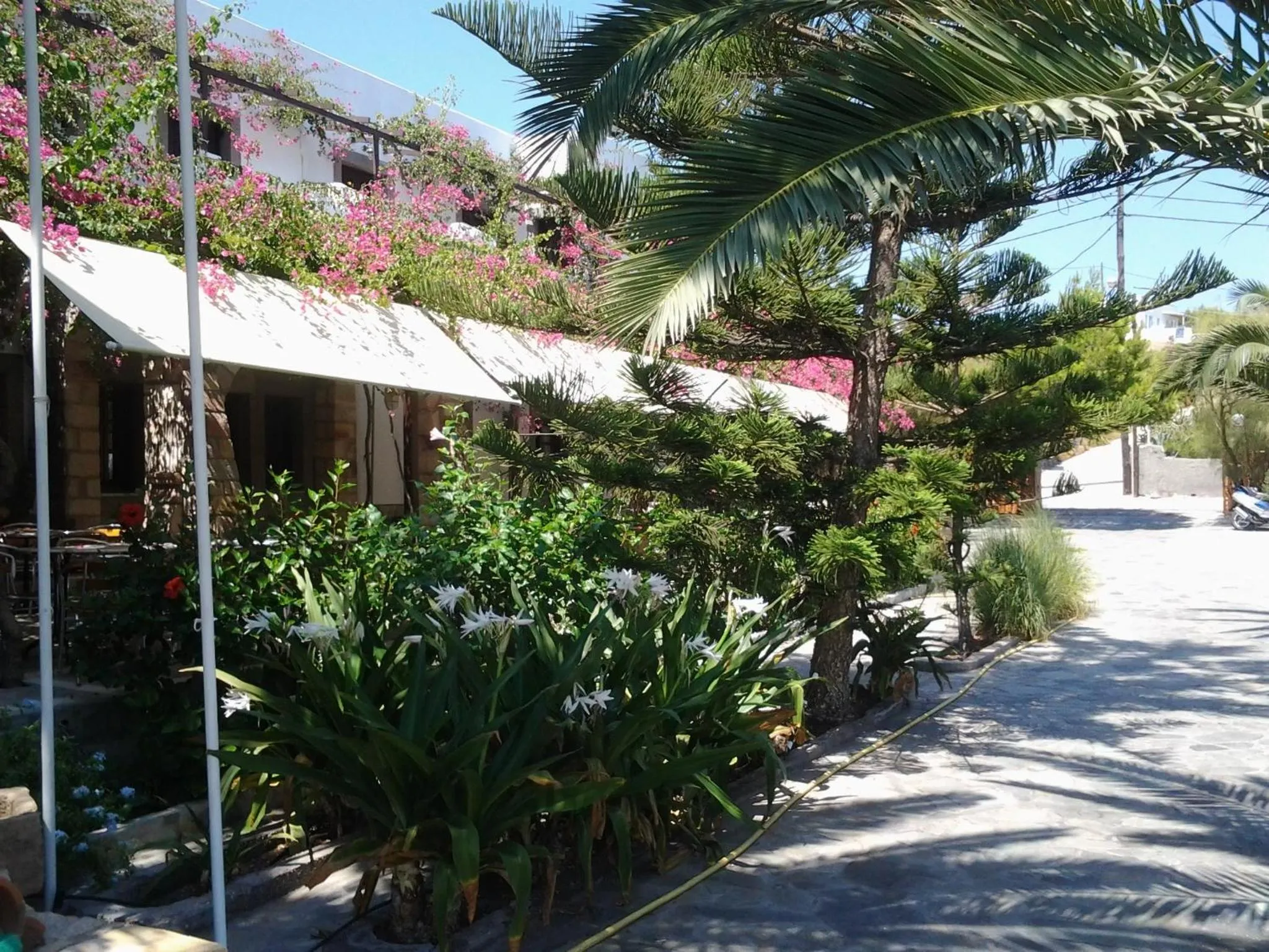 Facade/entrance in Asteri Hotel