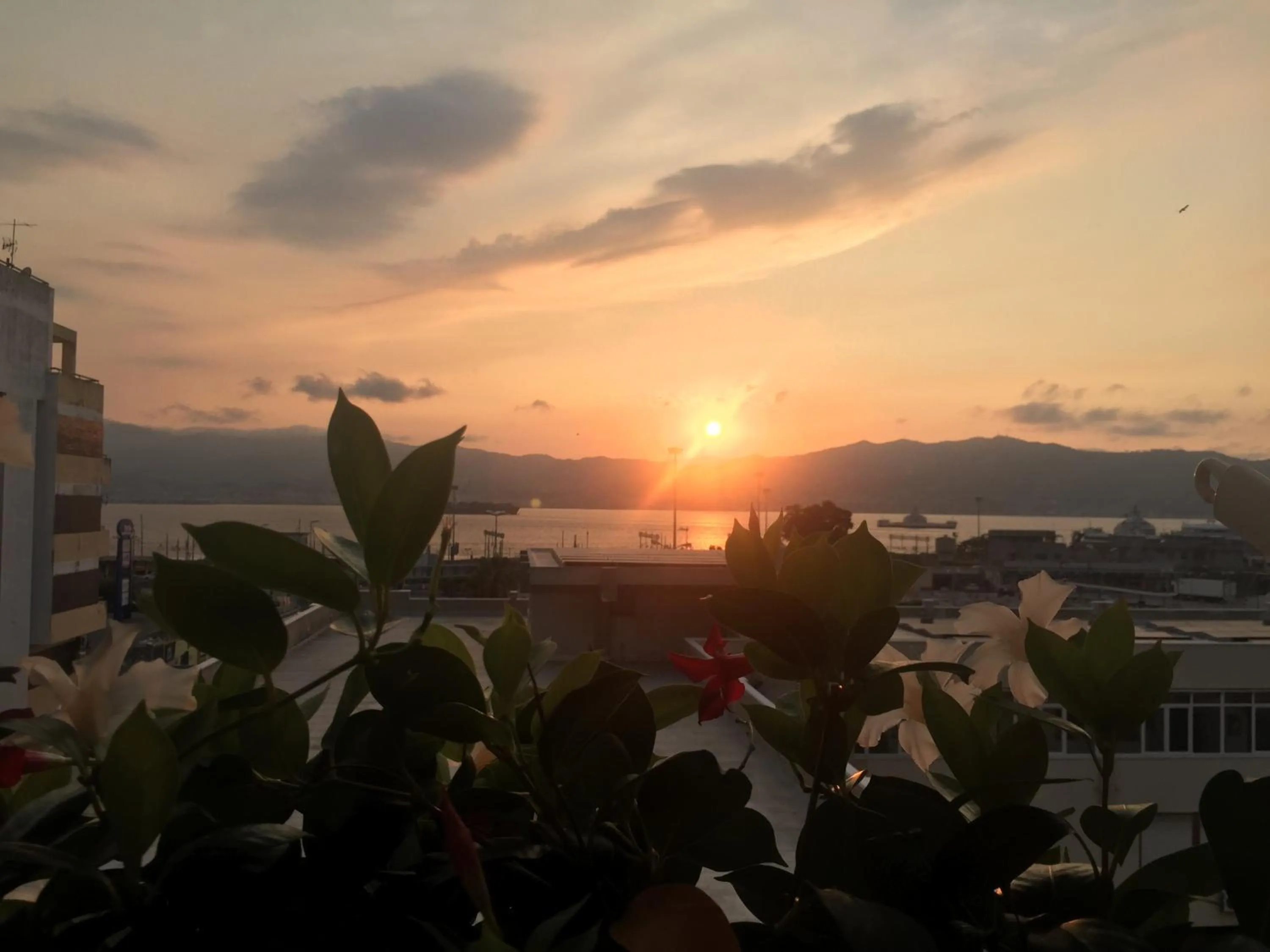 Natural landscape in B&B Vistamare