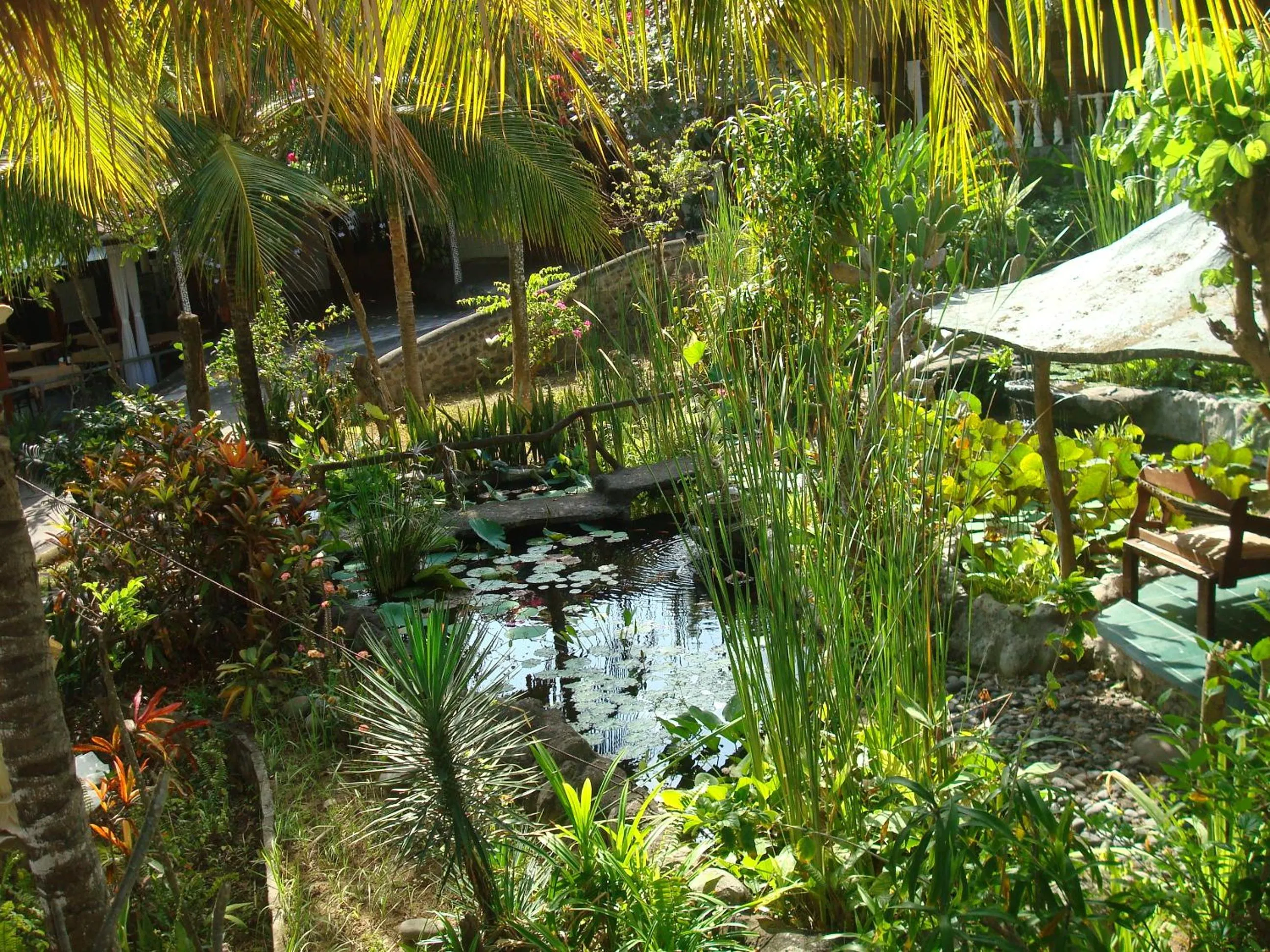 Garden view in Villa Arjuna