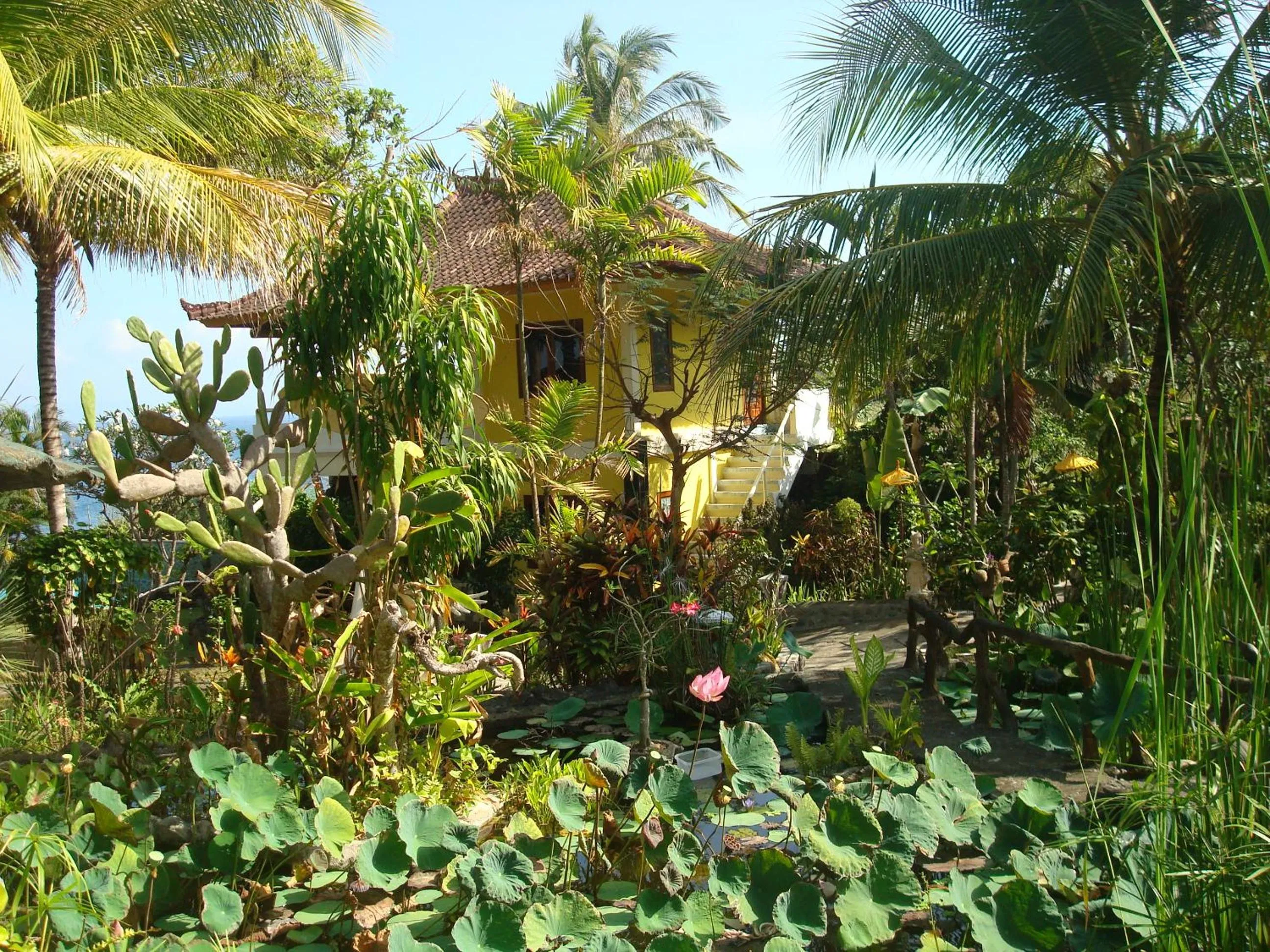 Garden view in Villa Arjuna