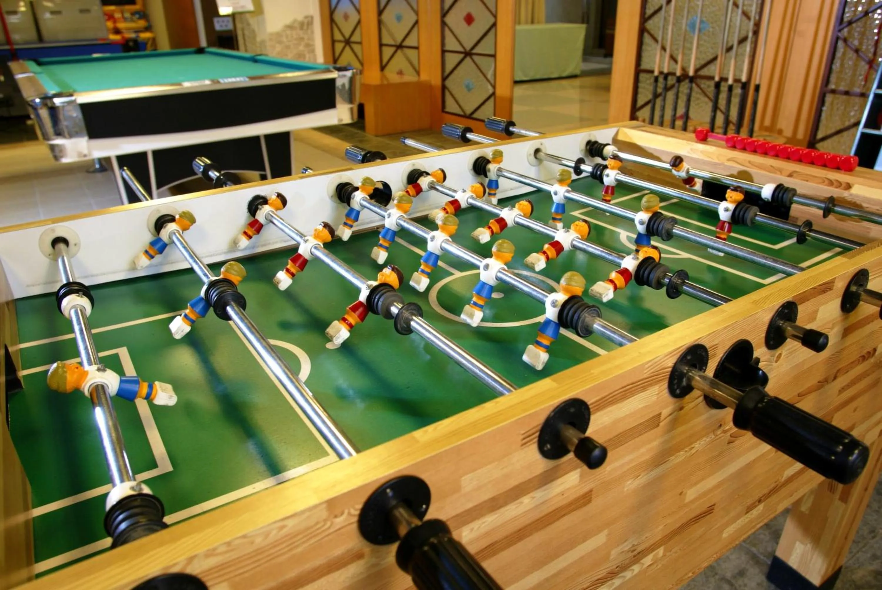 Entertainment in Hotel Les Champs