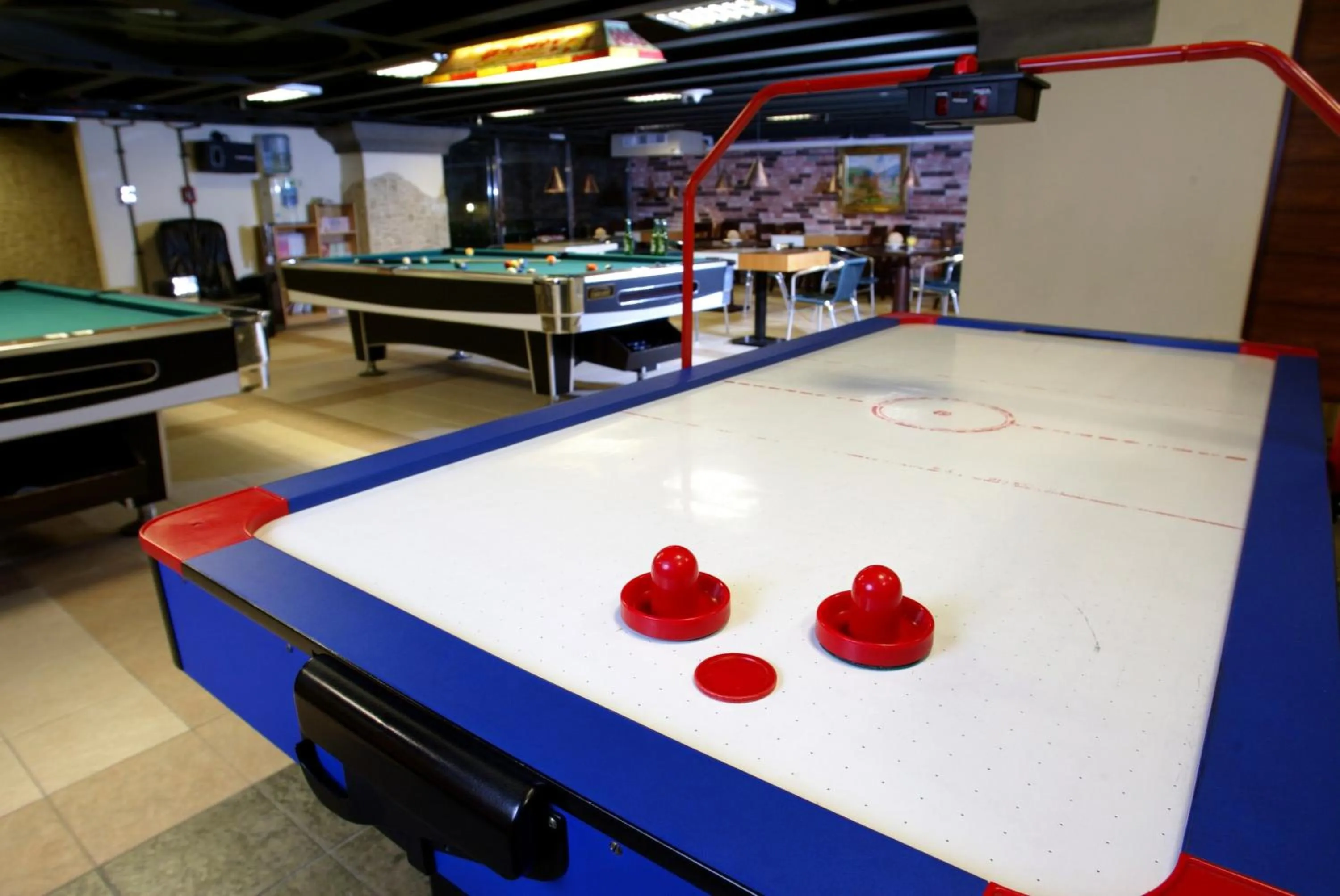 Entertainment in Hotel Les Champs