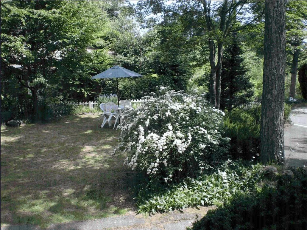 Garden in Grass Hopper
