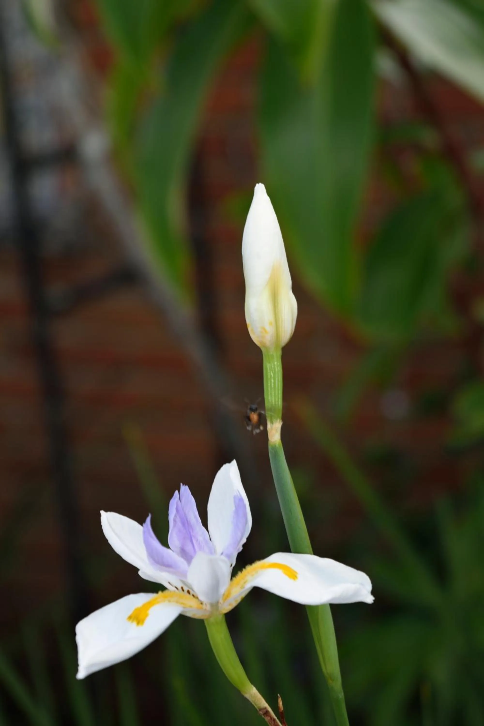 Off site in OH ESPAÑA!