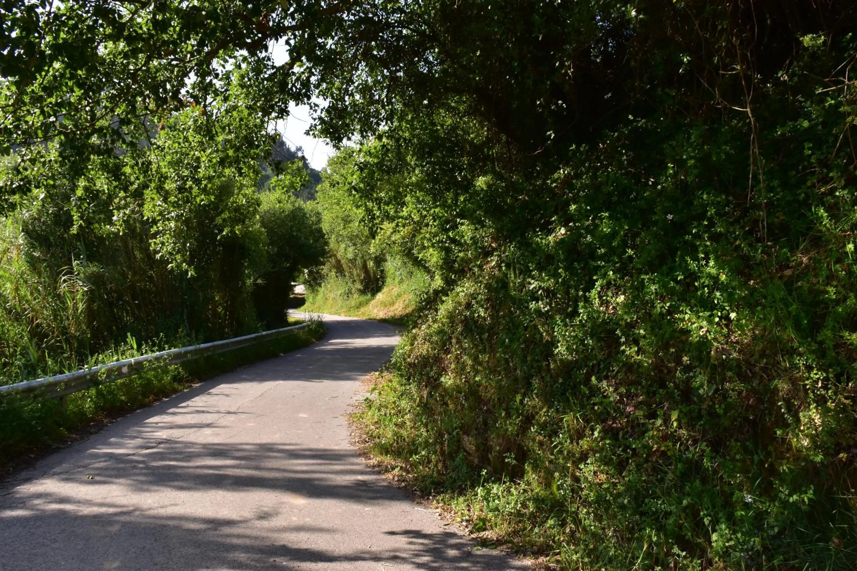 Natural landscape in Quinta Japonesa