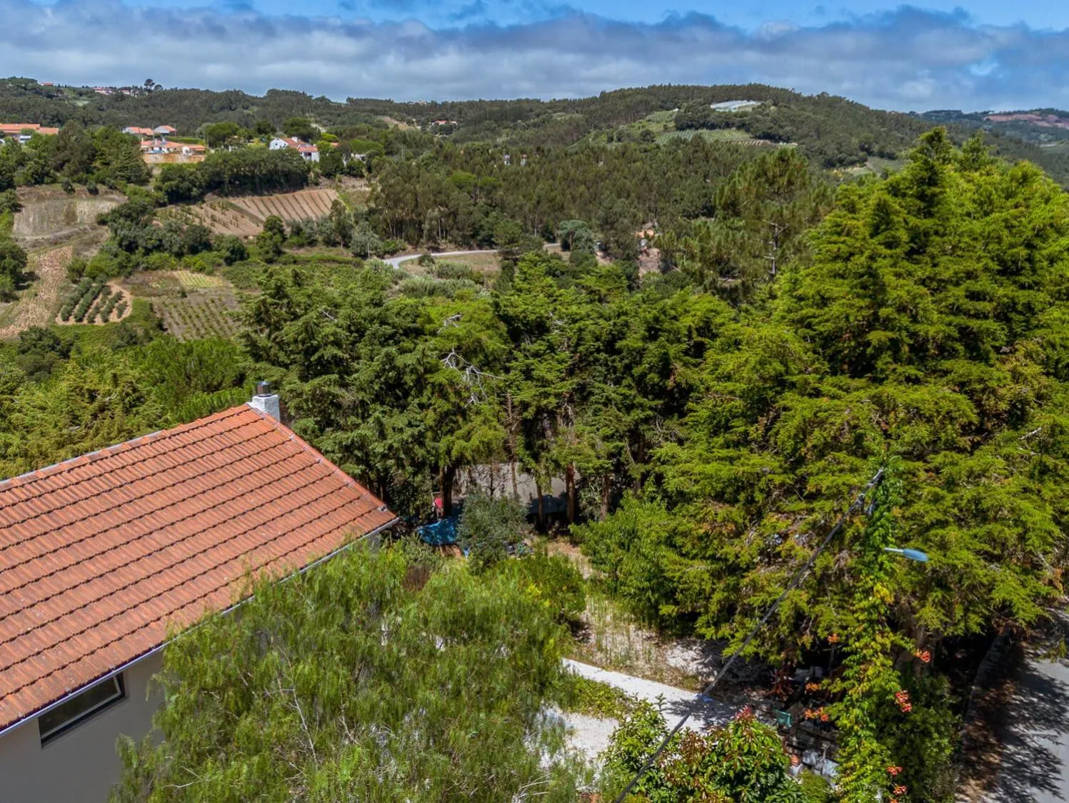 Natural landscape in Quinta Japonesa