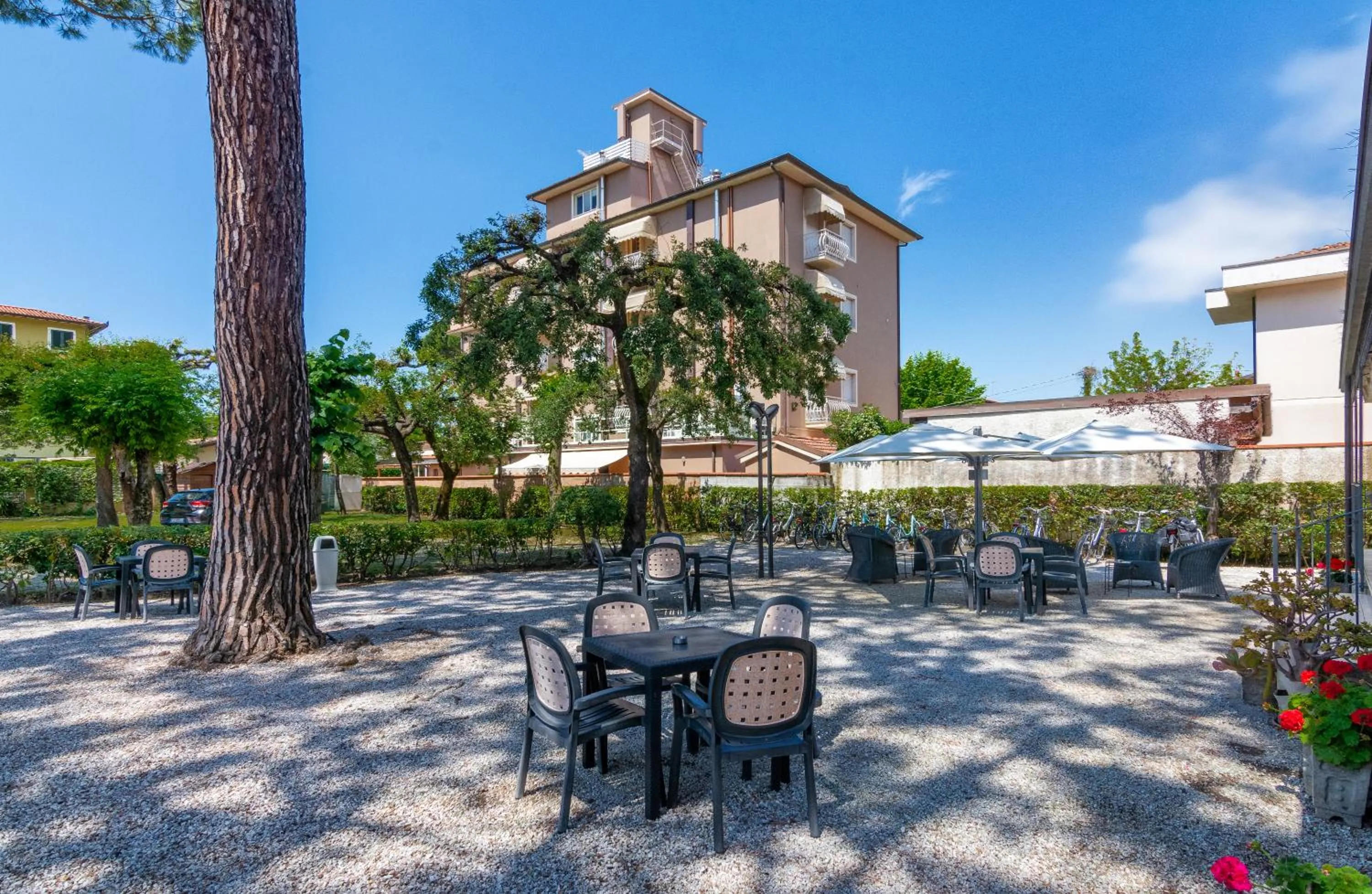 Garden in Hotel Apuana
