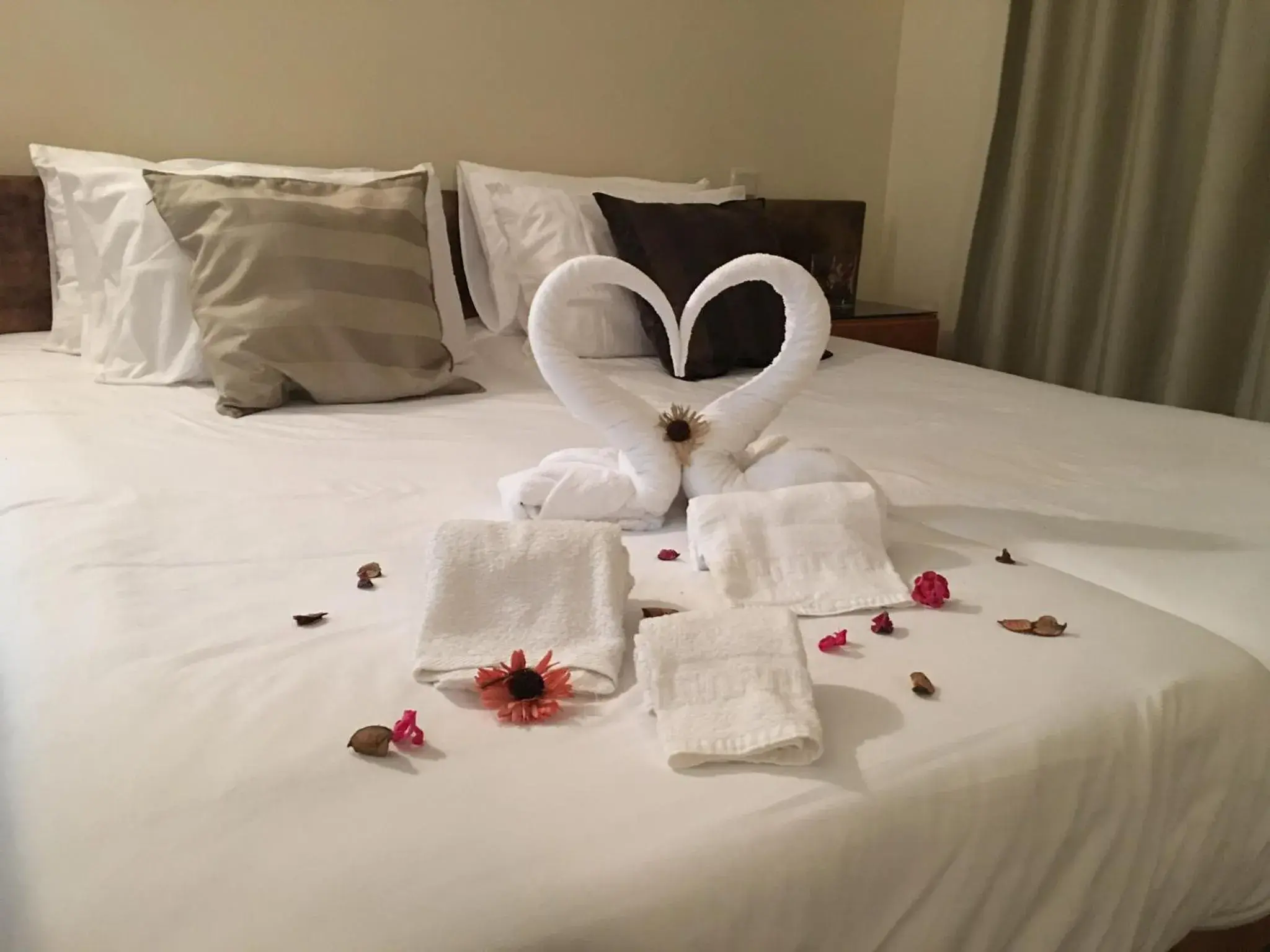 Fiel Chef Alojamento Local Fiel Chef Alojamento Local